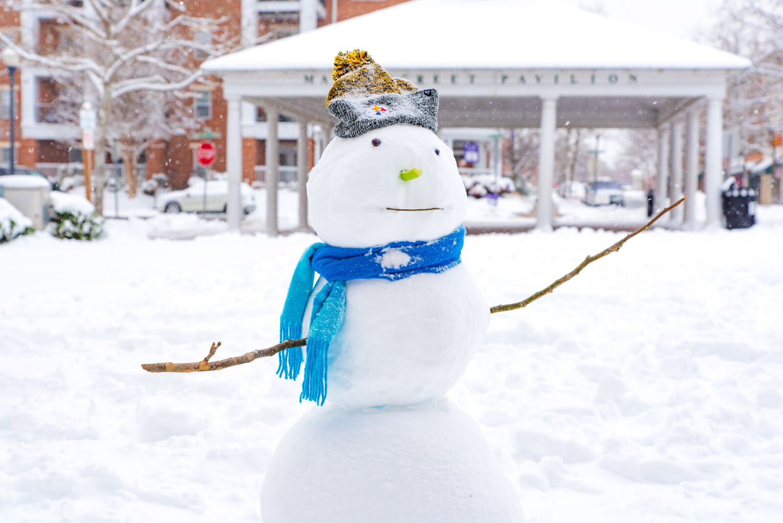 Nikon D750 sample photo. Snowman, snow, winter photography