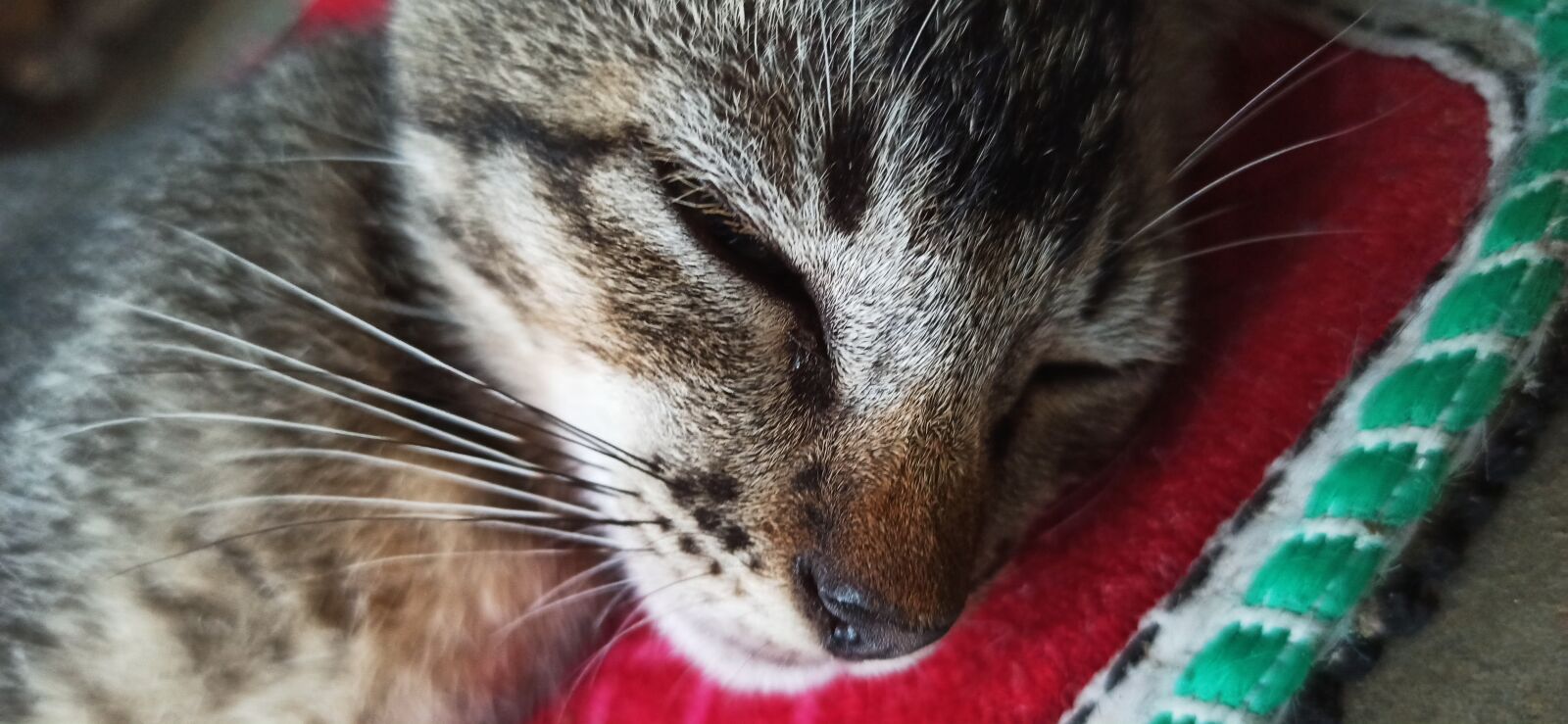 Xiaomi Redmi Note 8 Pro sample photo