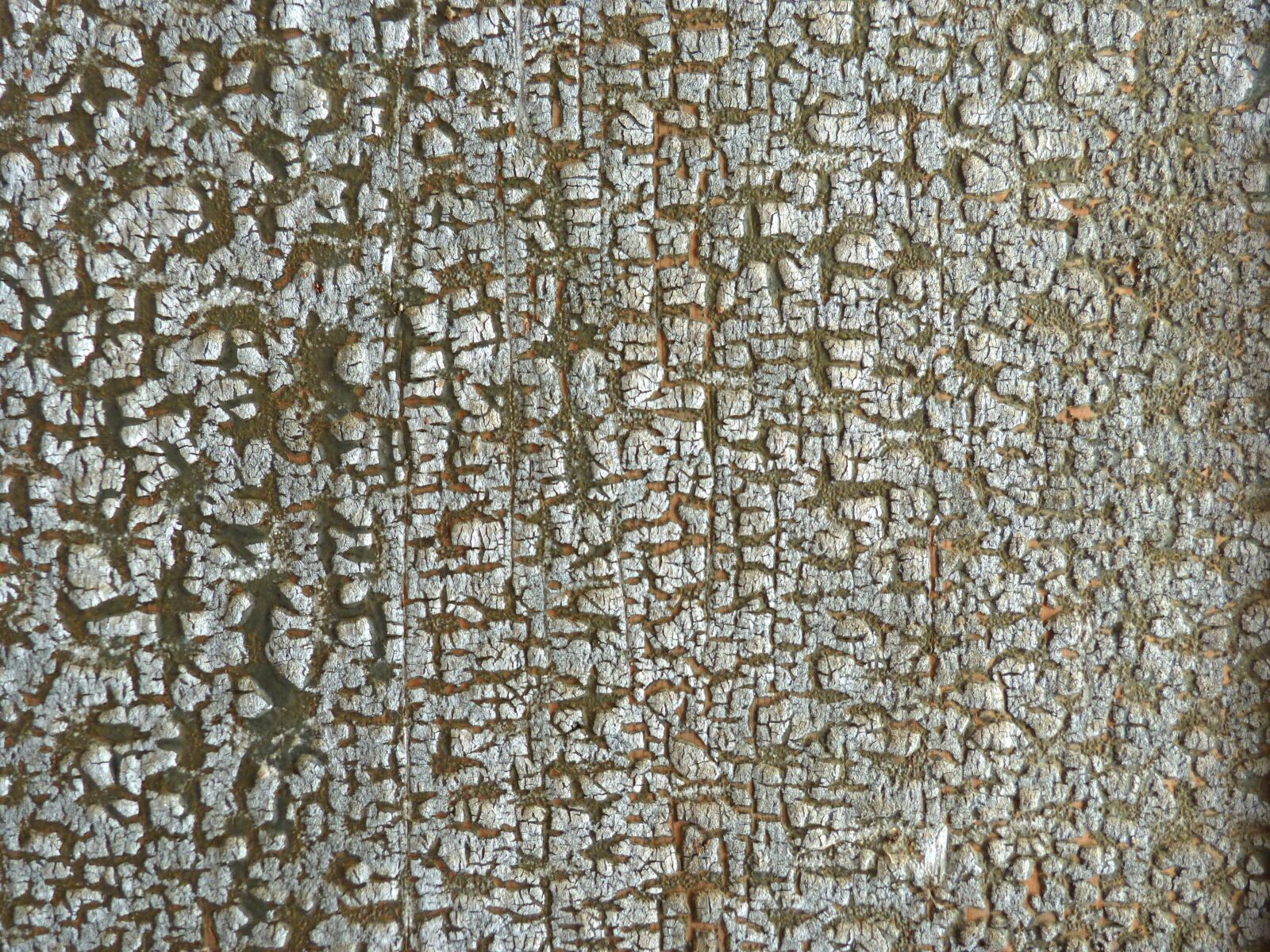 Panasonic DMC-FZ62 sample photo. Peeling paint, cracks, background photography