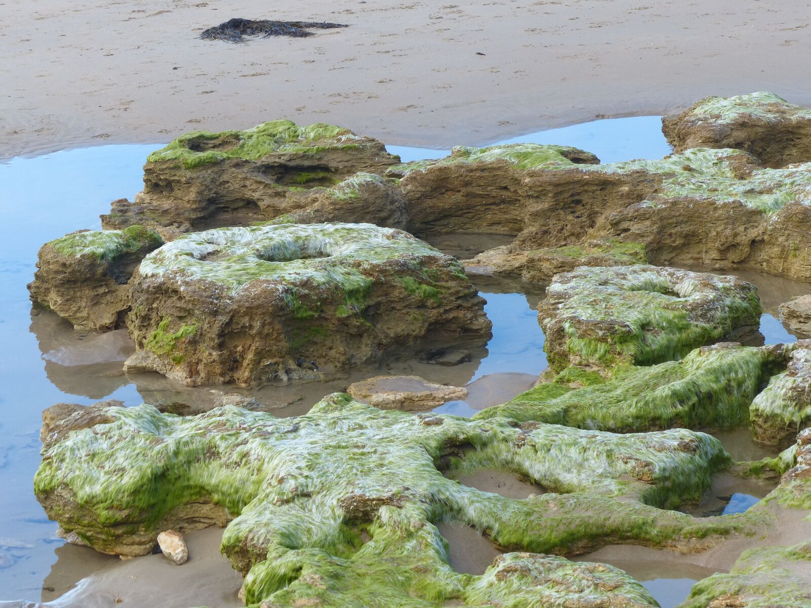 Panasonic Lumix DMC-FZ200 sample photo. Rock pools, beach, ocean photography