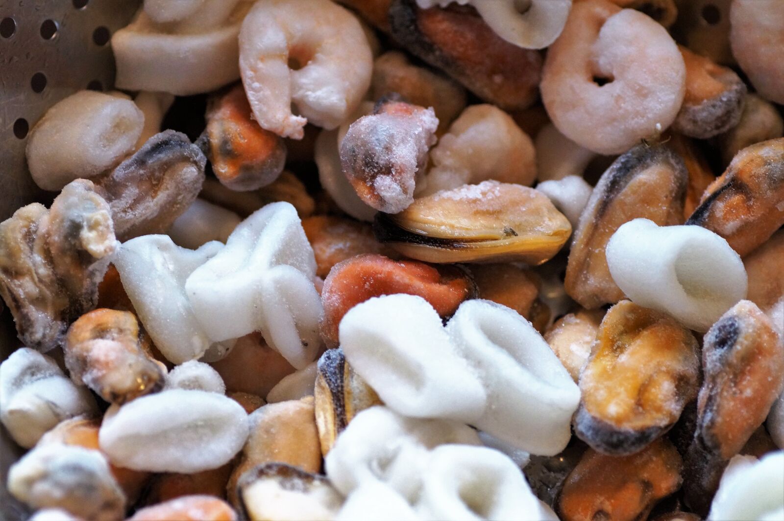 Sony SLT-A58 sample photo. Seafood, frozen, seashell photography