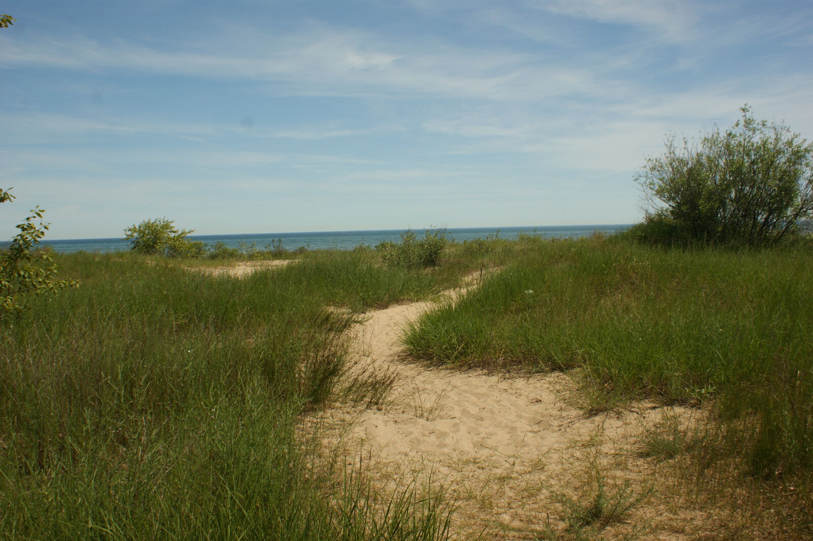 Sony Alpha DSLR-A350 + Sony DT 18-70mm F3.5-5.6 sample photo. Grass, lake, michigan, ontario photography