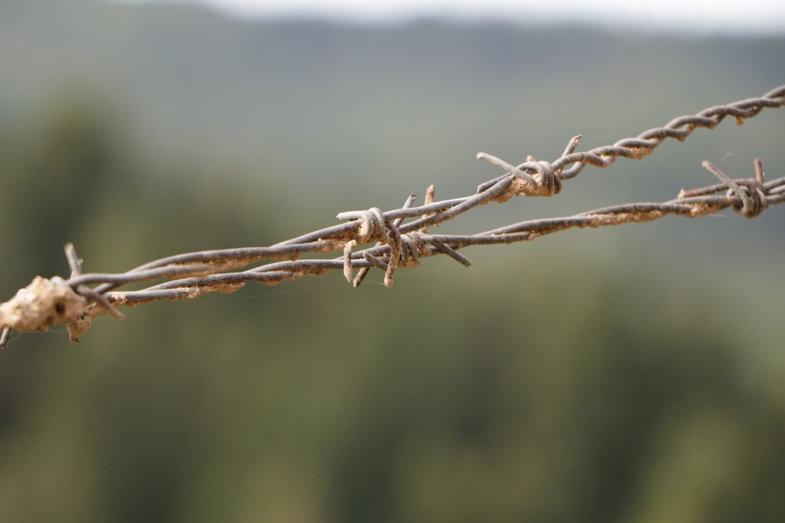 Canon EOS 760D (EOS Rebel T6s / EOS 8000D) sample photo. Wire fence, no pass photography