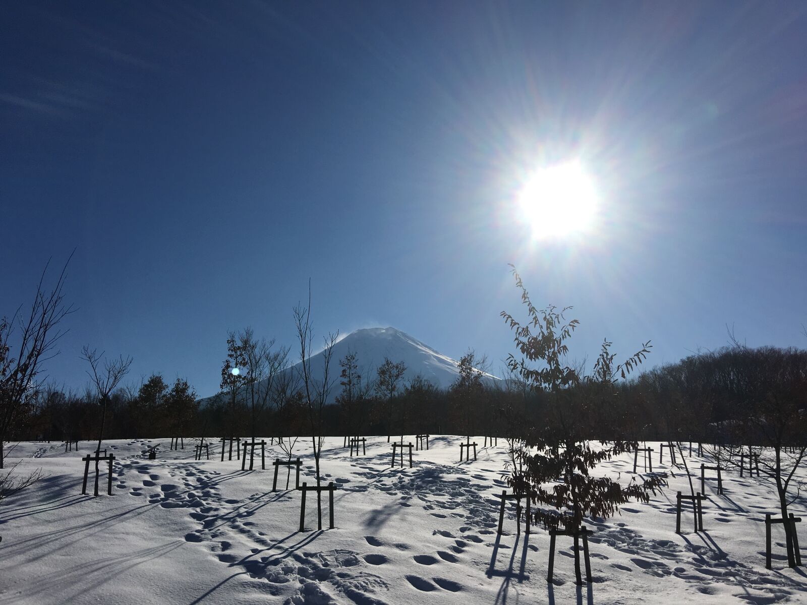 Apple iPhone 6s Plus sample photo. Snow, winter, countryside photography