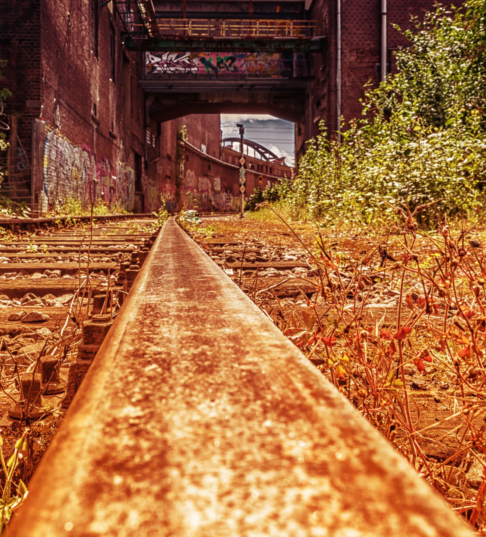 Nikon D3300 sample photo. Lost places, rail, track photography