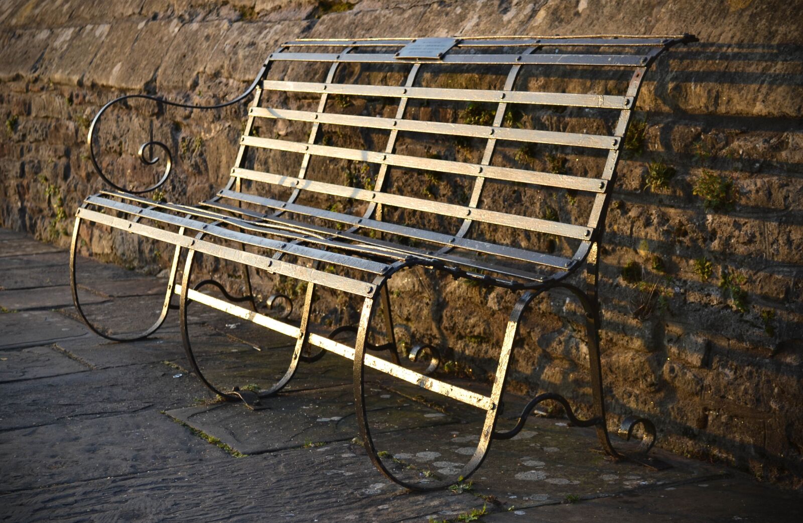 Nikon D3100 sample photo. Bench, metal, old photography
