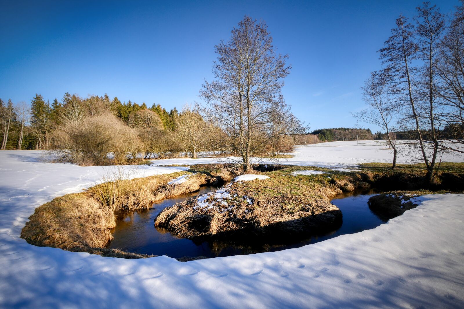Panasonic Lumix DMC-GX8 sample photo. Winter, bach, snow photography
