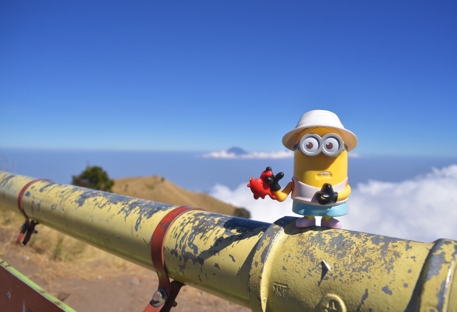Nikon D3400 sample photo. Minion, summit, peak photography