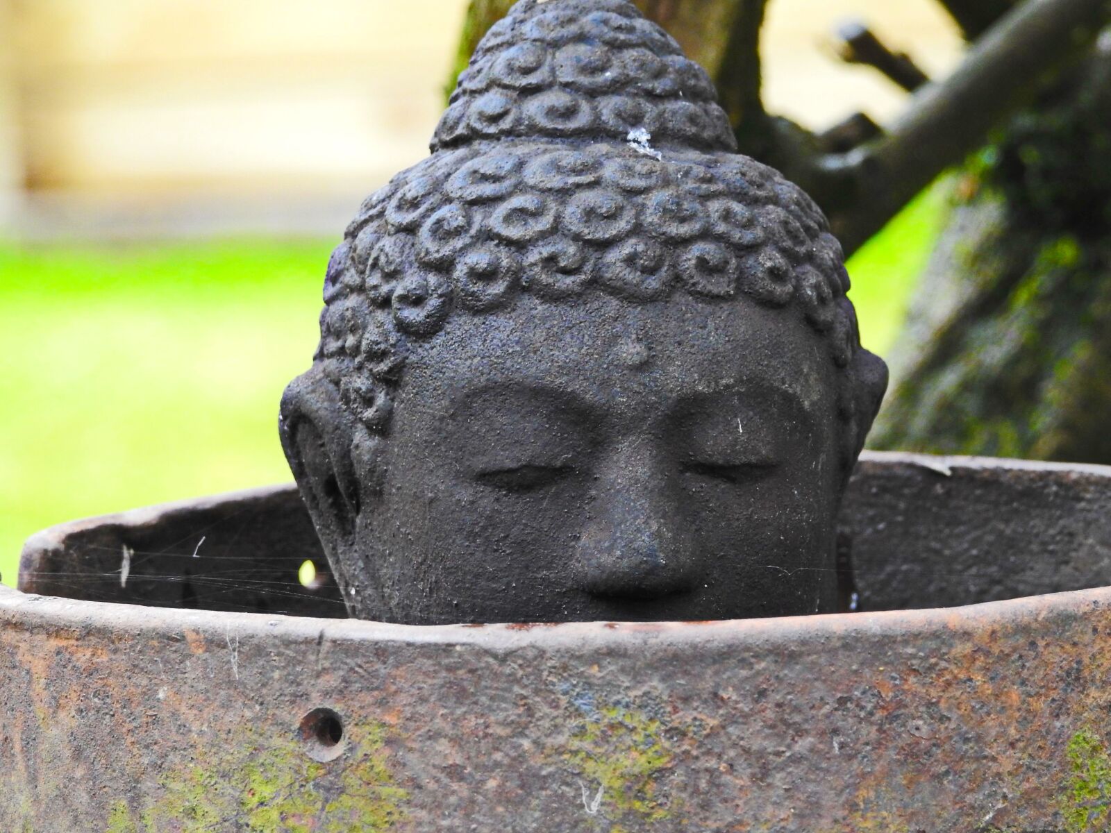 Nikon Coolpix P900 sample photo. Deco, garden, decoration photography