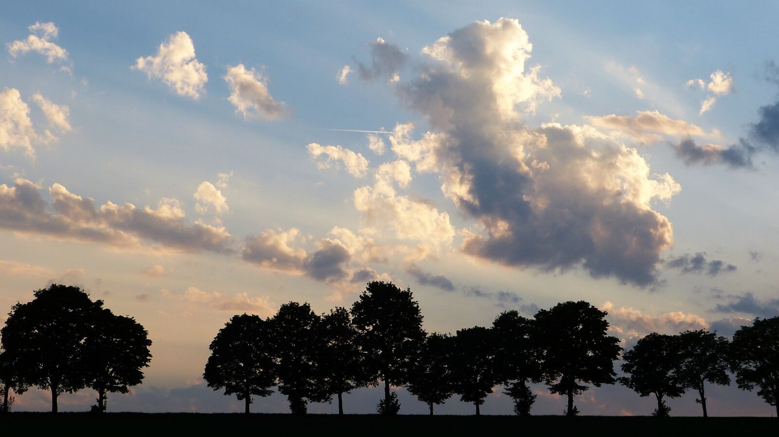 Panasonic Lumix DMC-FZ150 sample photo. Trees, avenue, twilight photography