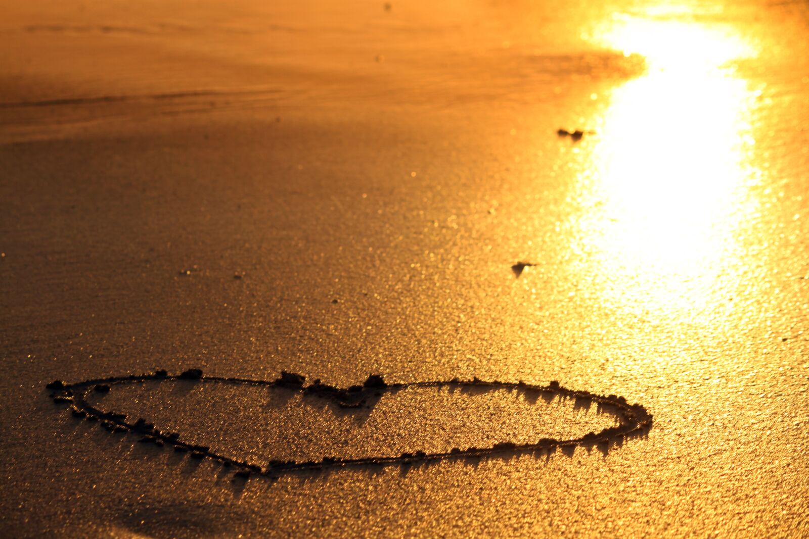 Canon EOS 500D (EOS Rebel T1i / EOS Kiss X3) sample photo. Heart, love, romanticism photography