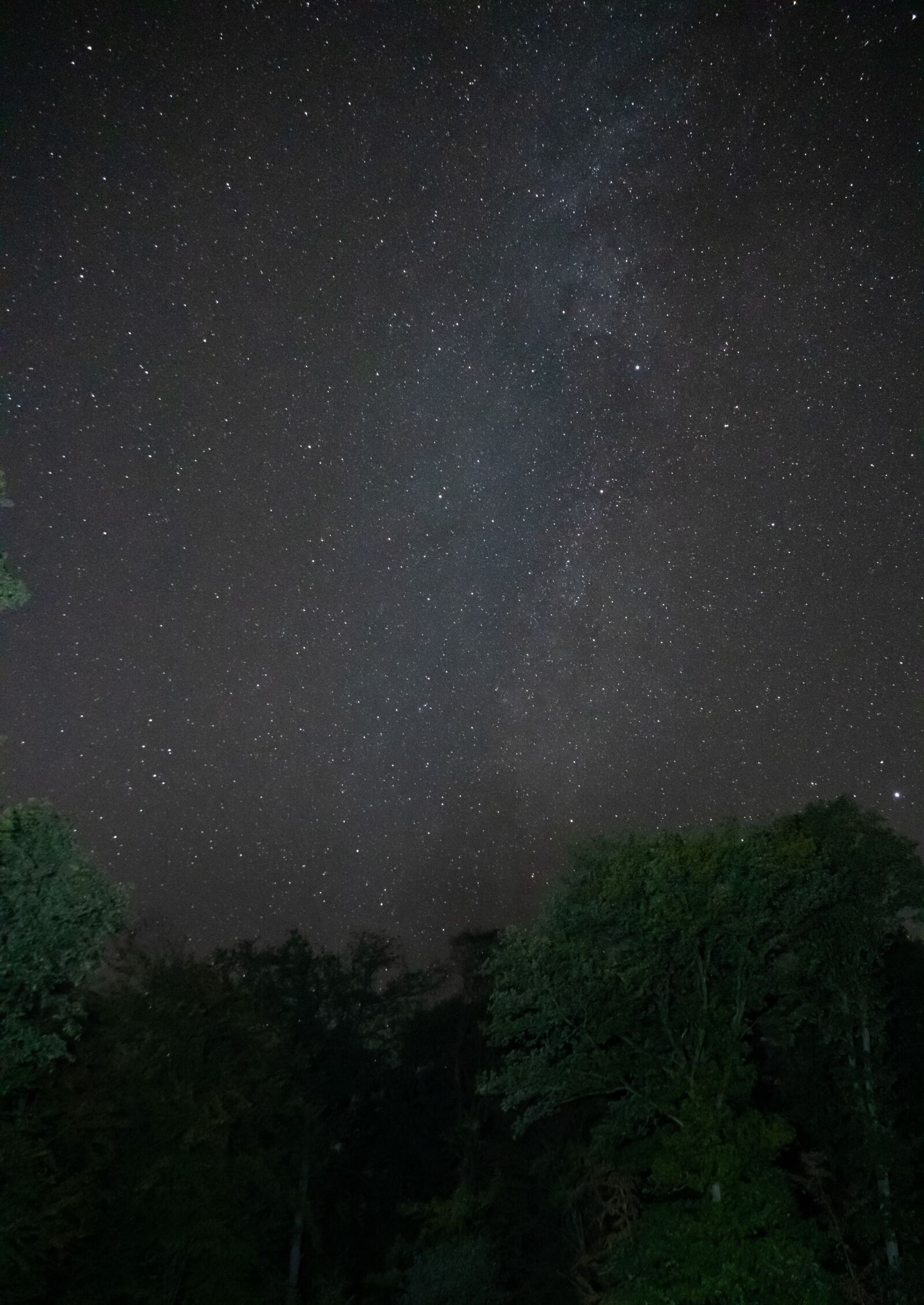 Canon EOS 750D (EOS Rebel T6i / EOS Kiss X8i) sample photo. Starry sky, star, astrophotography photography