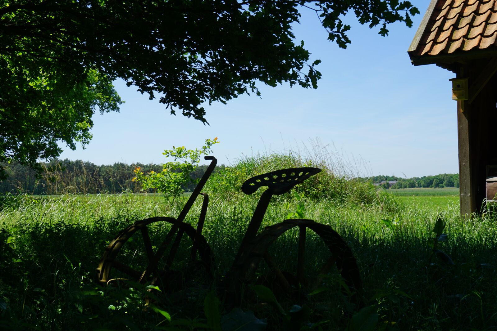 Sony a6000 sample photo. Agriculture, arable, field photography