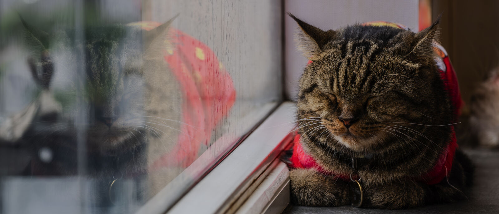 Fujifilm X-T1 sample photo