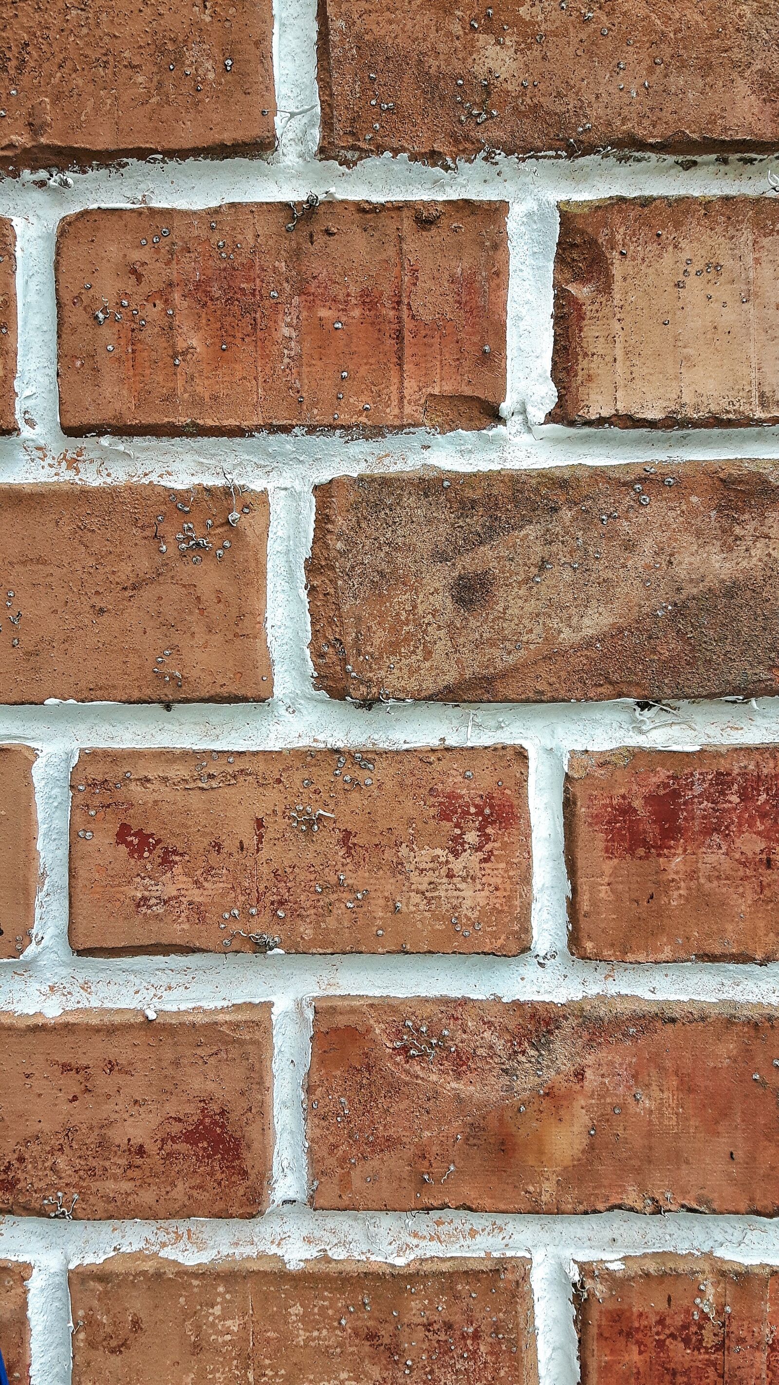 Samsung Galaxy S5 Neo sample photo. Wall, house, facade photography