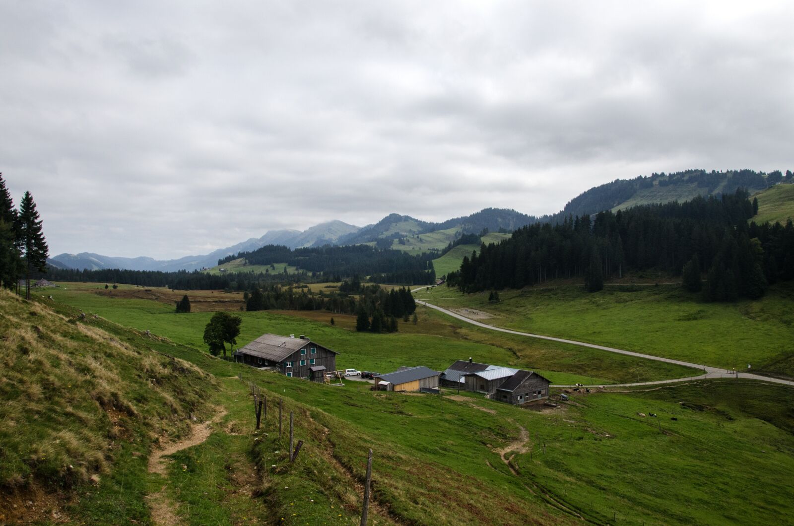 Nikon D5100 sample photo. Nagelfluhkette, high ridge, beef photography