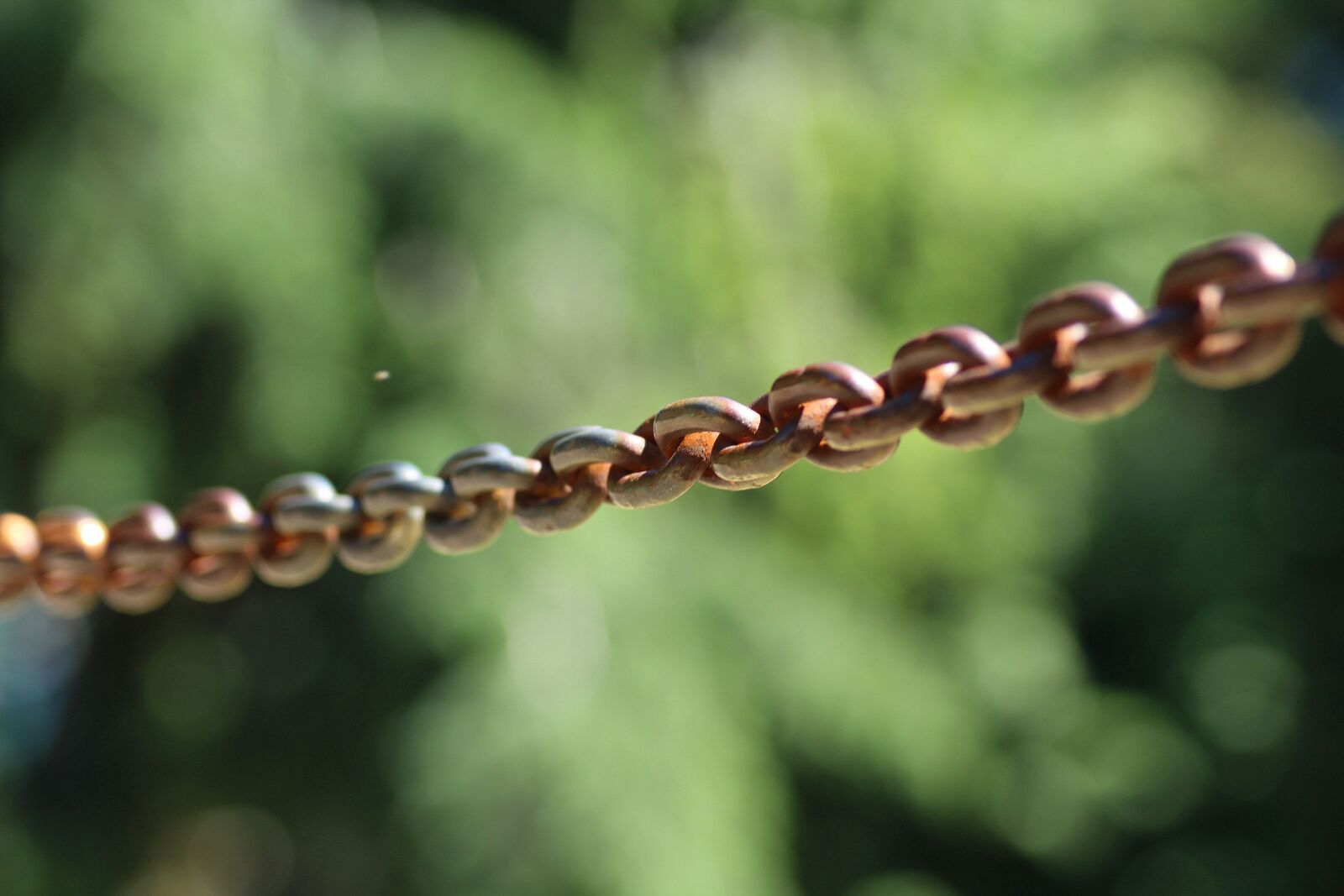 Canon EOS 1200D (EOS Rebel T5 / EOS Kiss X70 / EOS Hi) sample photo. Chain, metal, link photography