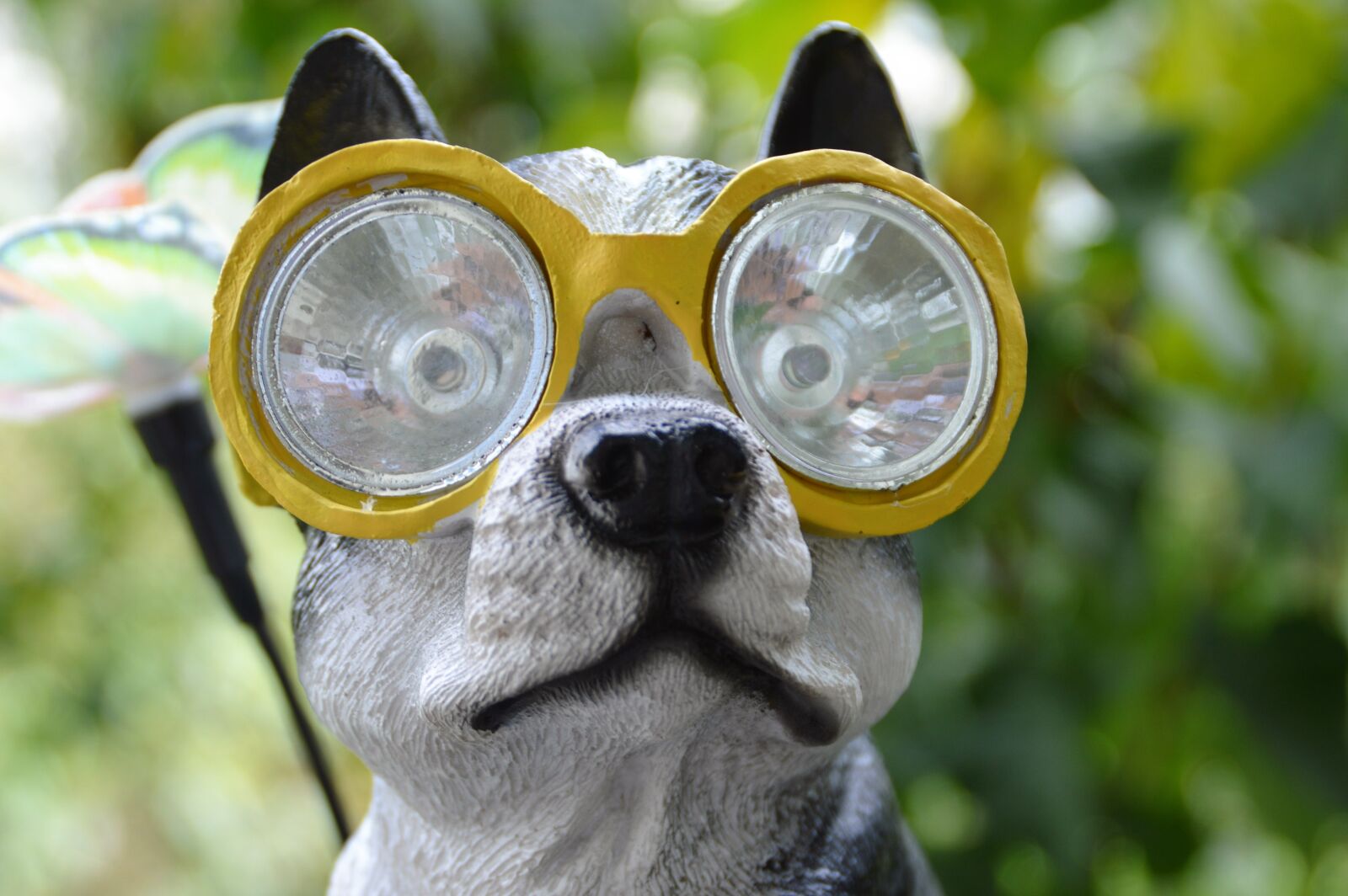 Nikon D3200 sample photo. Diving mask, dog, swimming photography