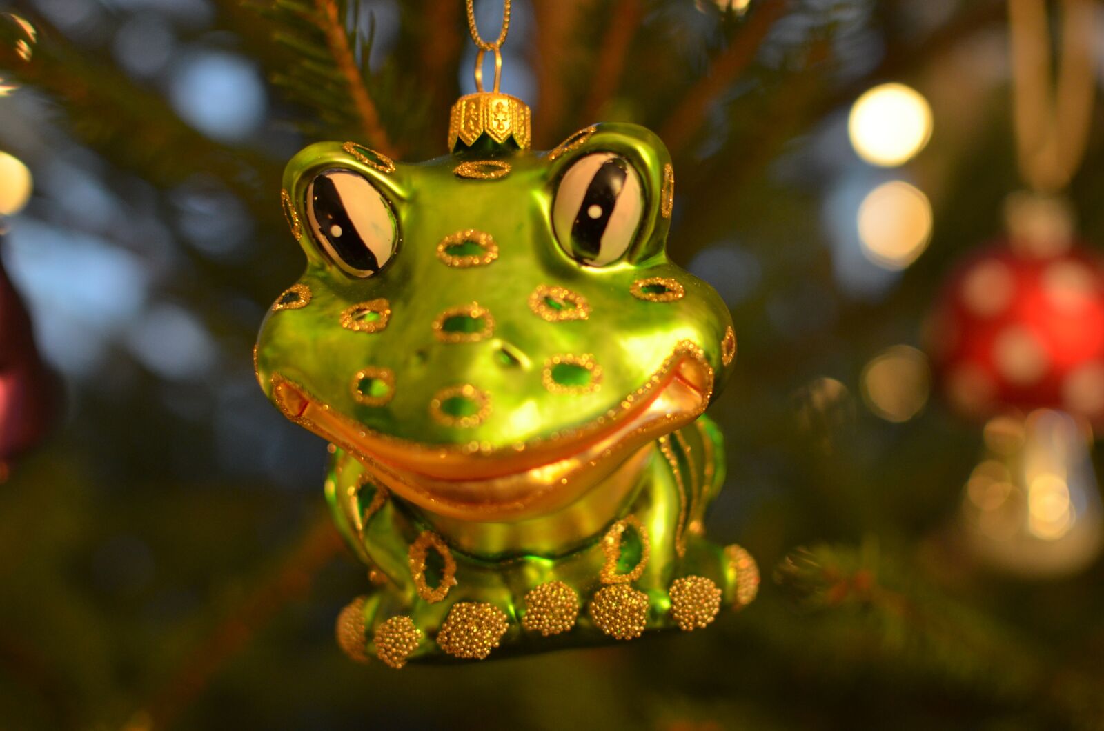Nikon D5100 sample photo. The frog, frog, bauble photography