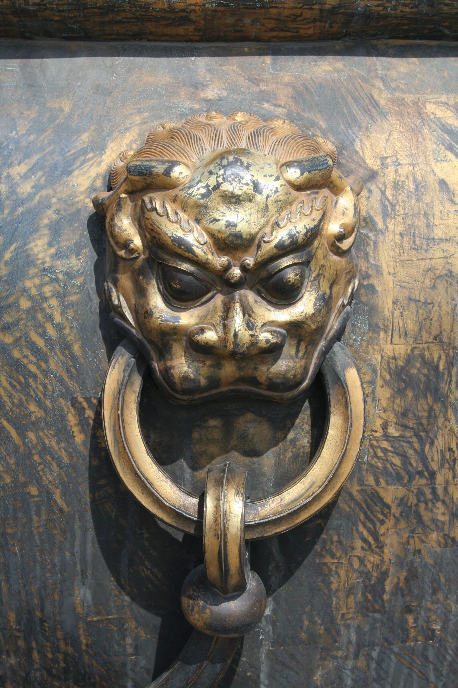 Canon EOS 350D (EOS Digital Rebel XT / EOS Kiss Digital N) sample photo. Lion, door knocker, architecture photography