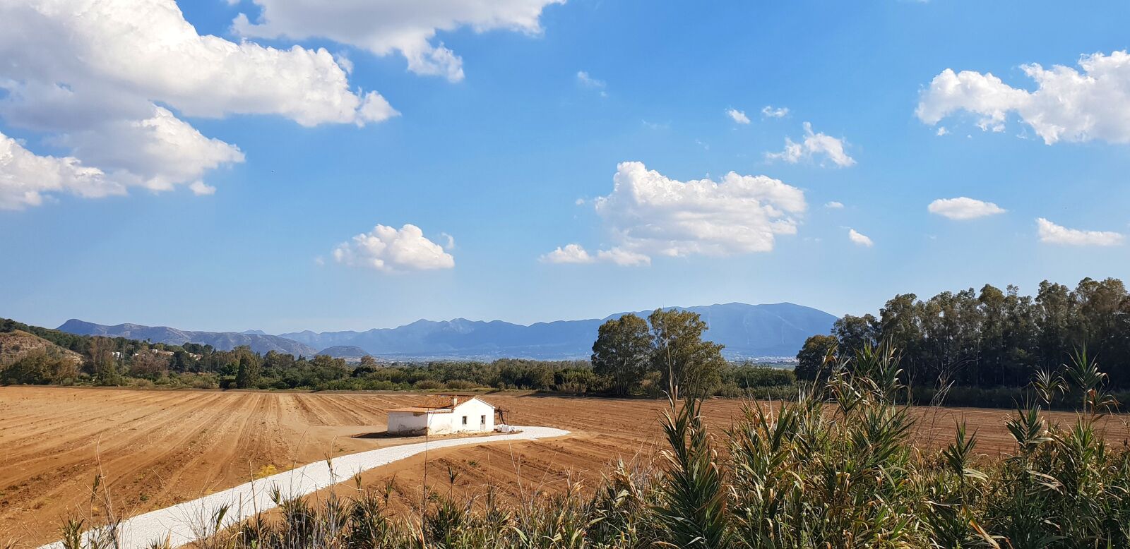 Samsung Galaxy S9+ sample photo. Campo, agricultura, agriculture photography
