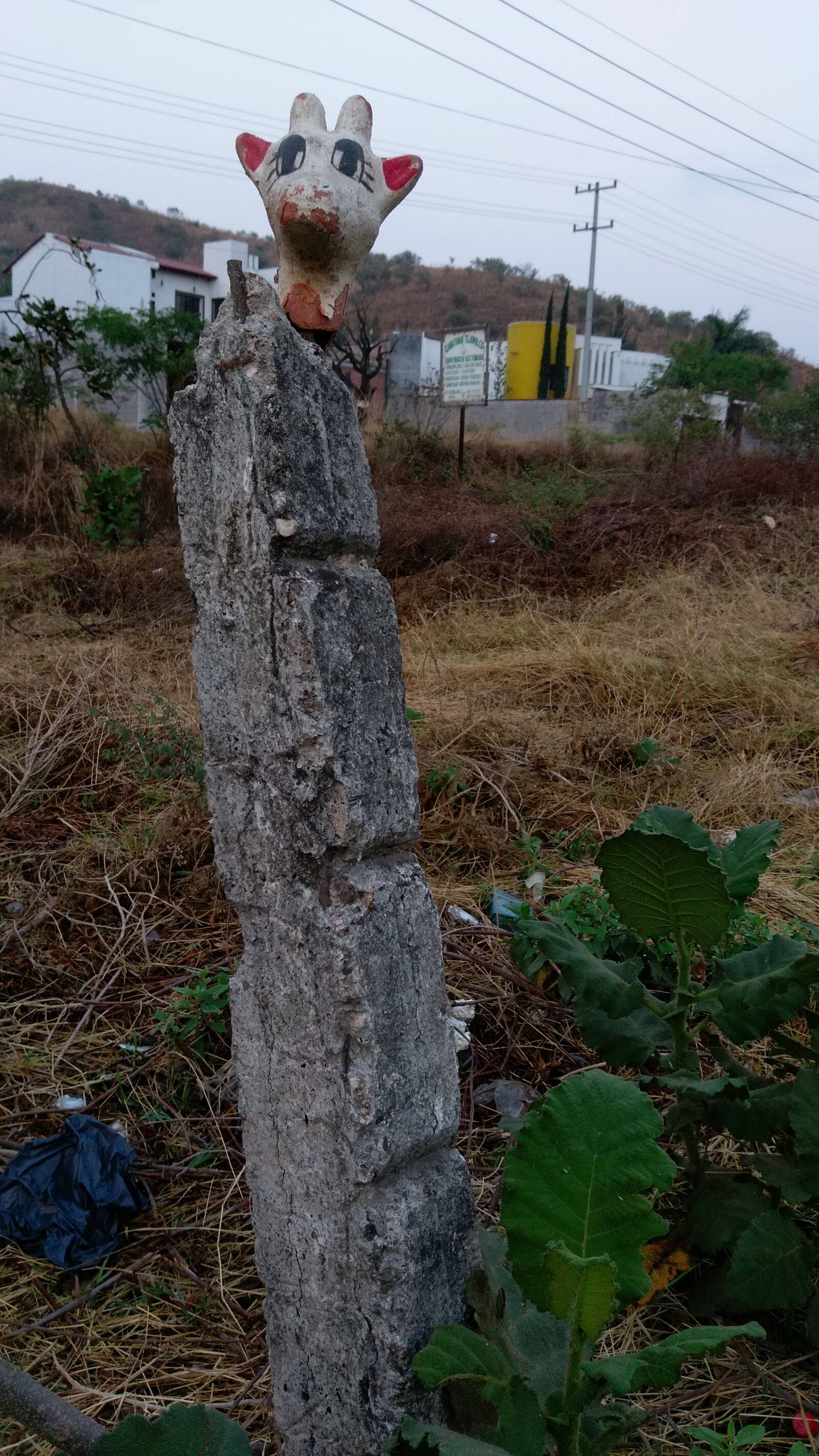 HTC ONE A9 sample photo. Animal, giraffe, litter, old photography