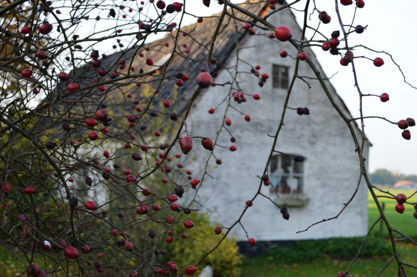 Nikon D3200 sample photo. Low, angle, view, of photography