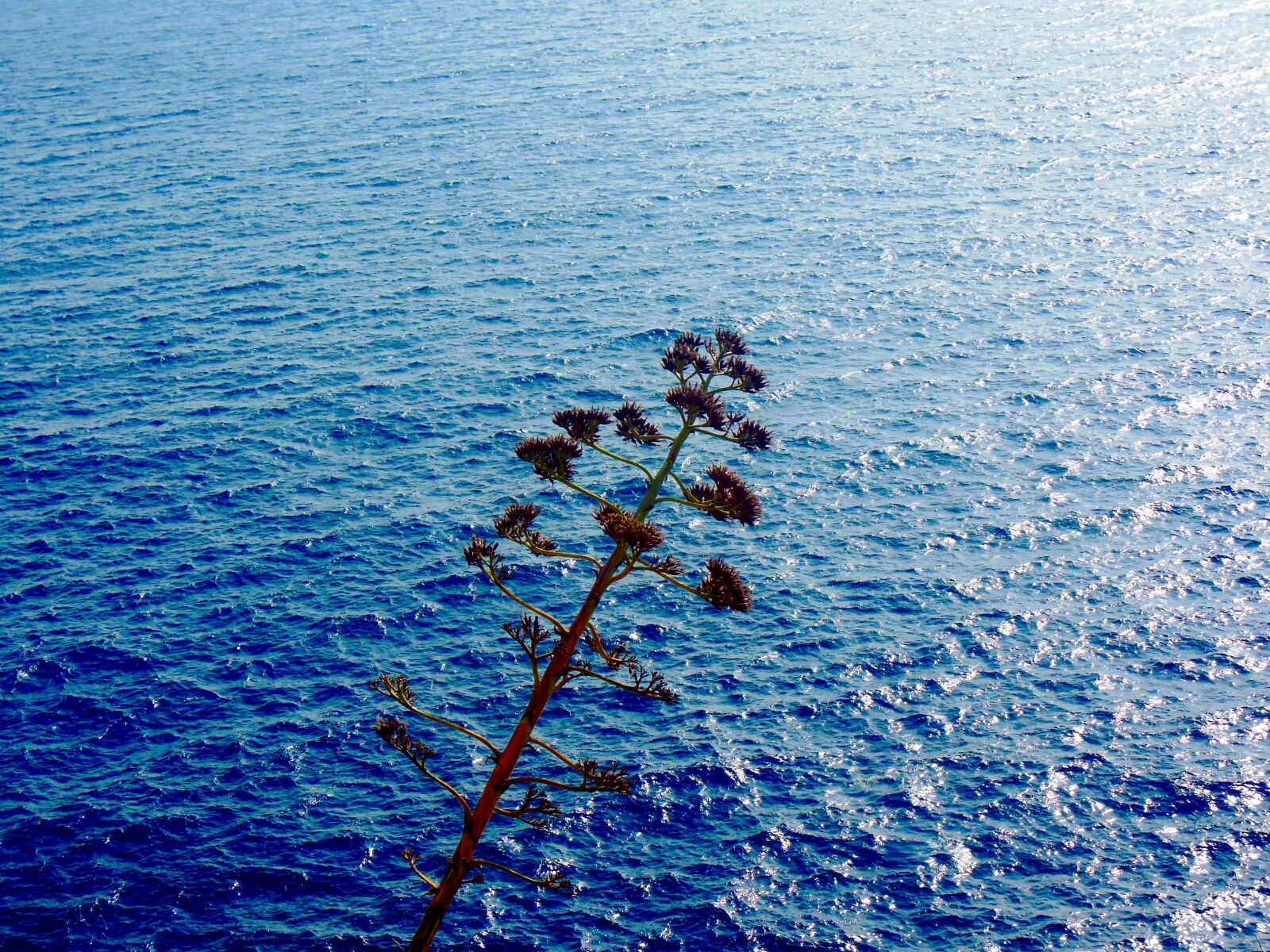 Nikon Coolpix S6300 sample photo. Sea, mediterranean, cost photography