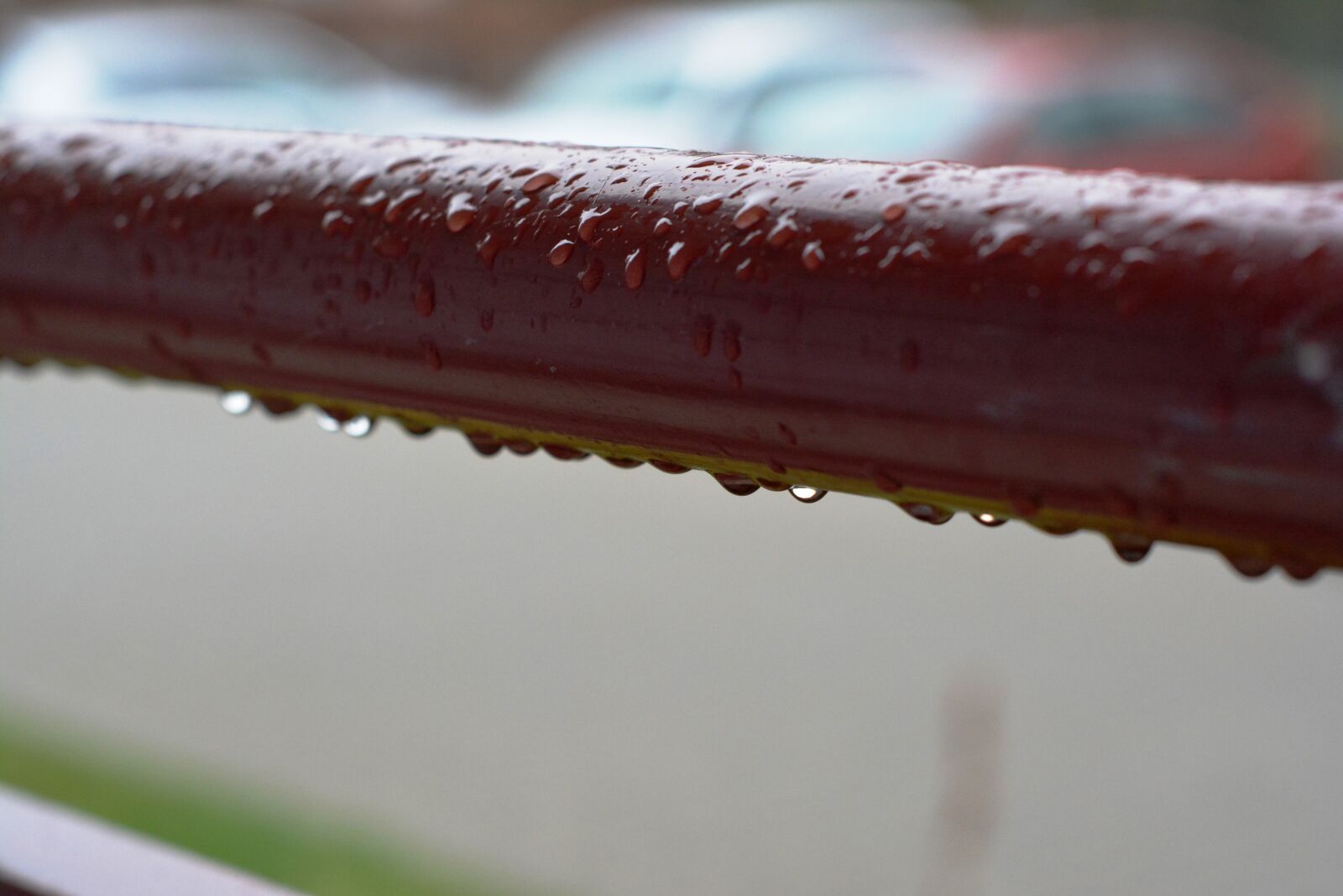 Nikon D5200 sample photo. Rain, drops, it rains photography