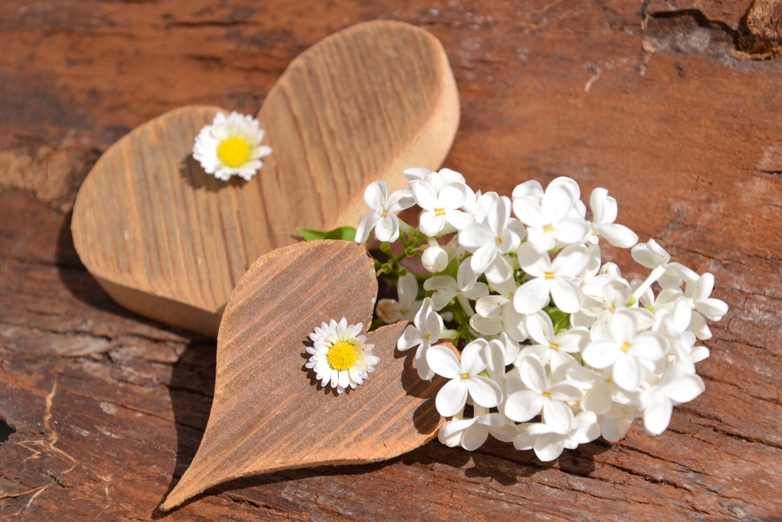 Nikon D3100 sample photo. Love, mother's day, heart photography