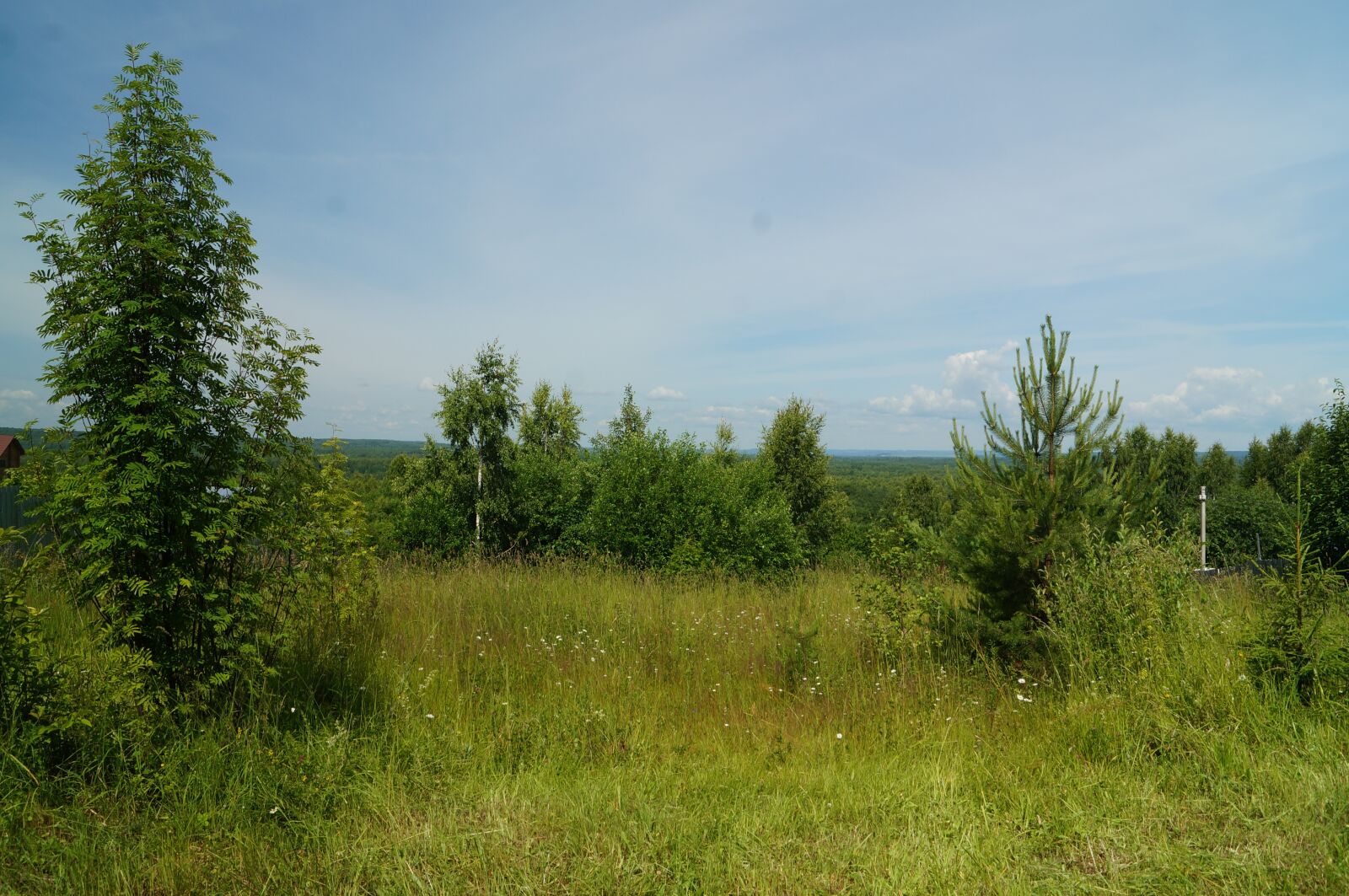 Sony SLT-A57 sample photo. Forest, silence, nature photography