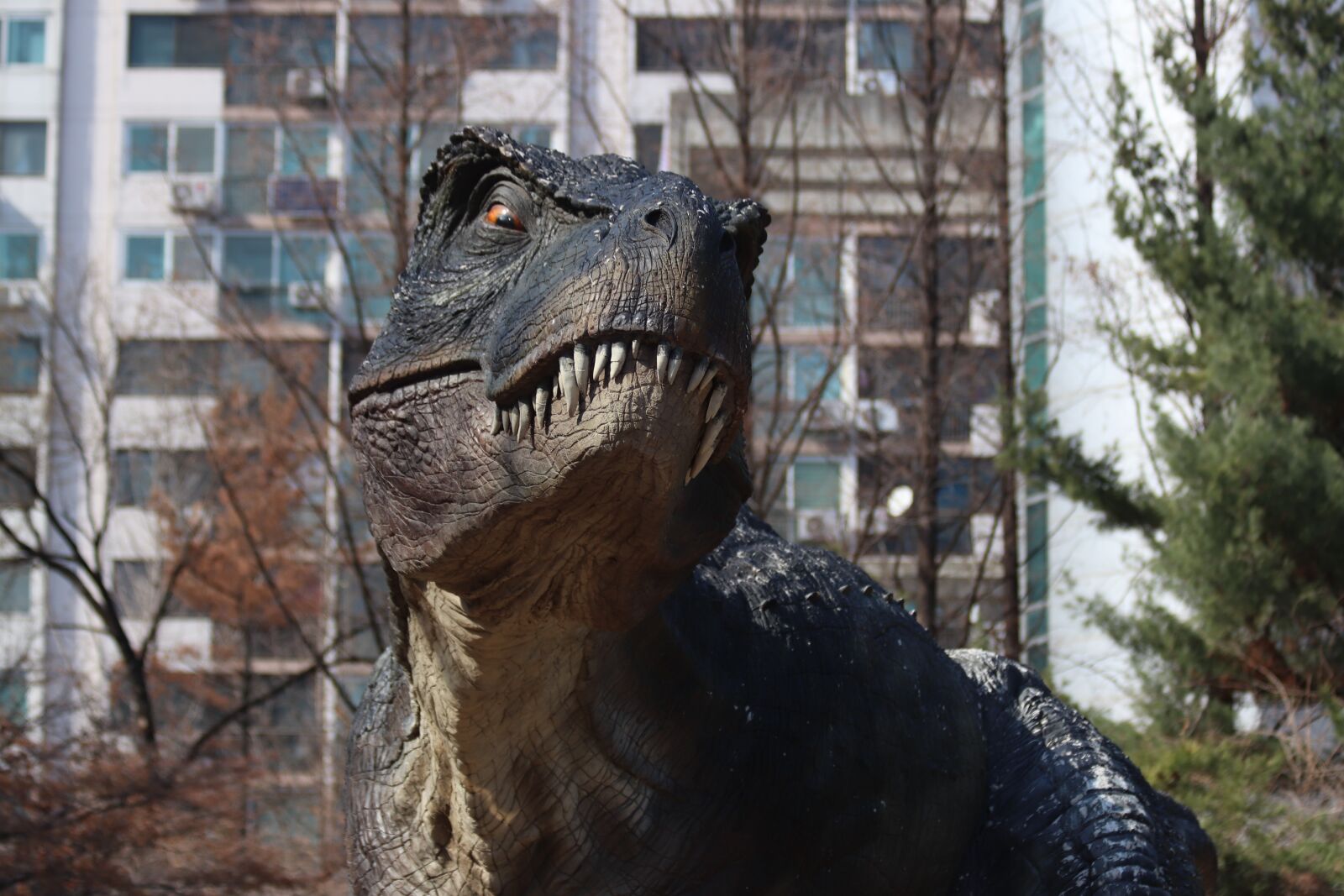 Canon EOS 77D (EOS 9000D / EOS 770D) + Canon EF 70-300mm F4-5.6 IS USM sample photo. Park, dinosaurs, tyrannosaurs photography