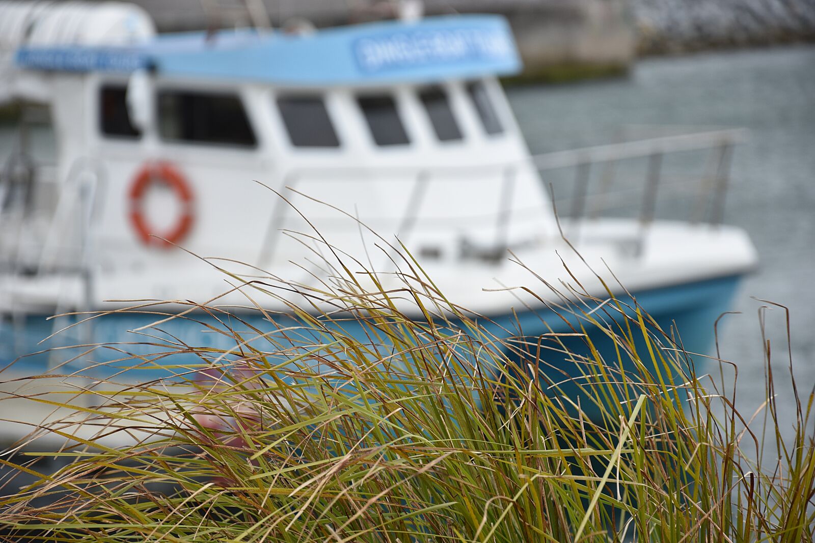 Nikon D3400 sample photo. Waters, nature, summer photography