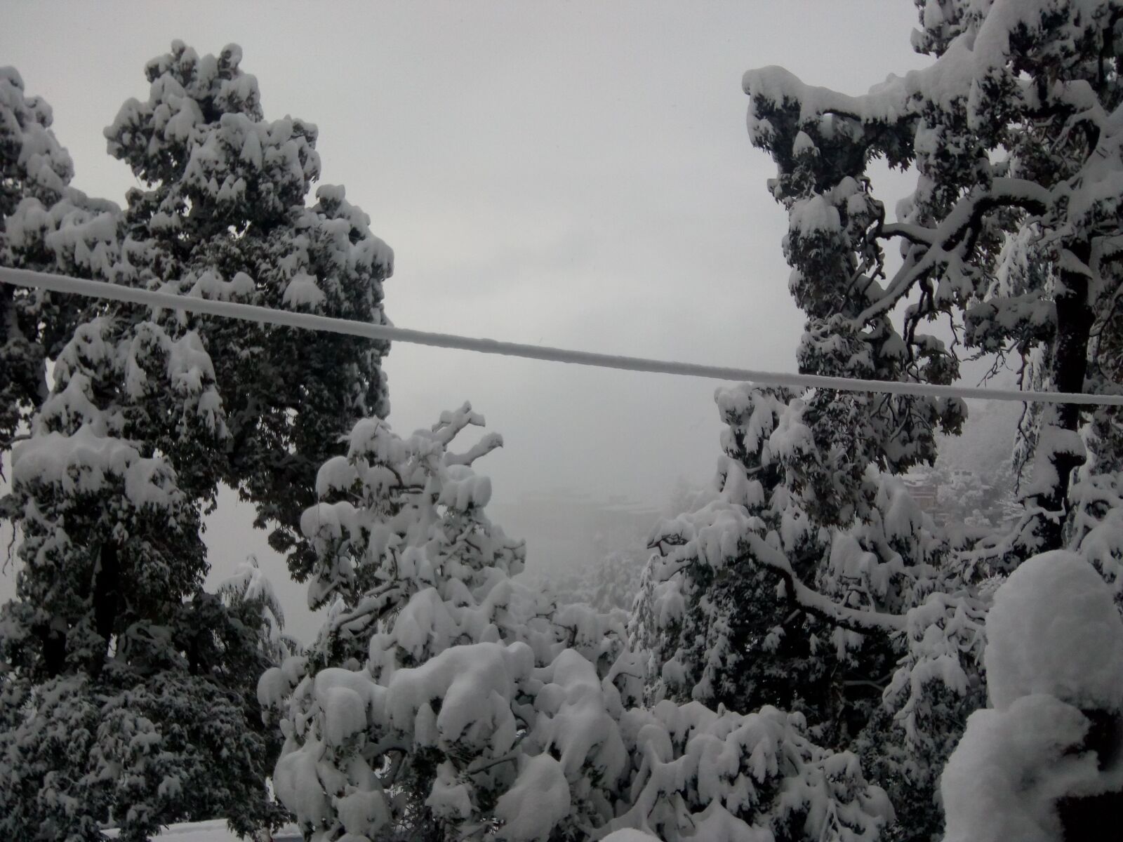 Motorola Moto C Plus sample photo. Shimla, snow, snowfall photography