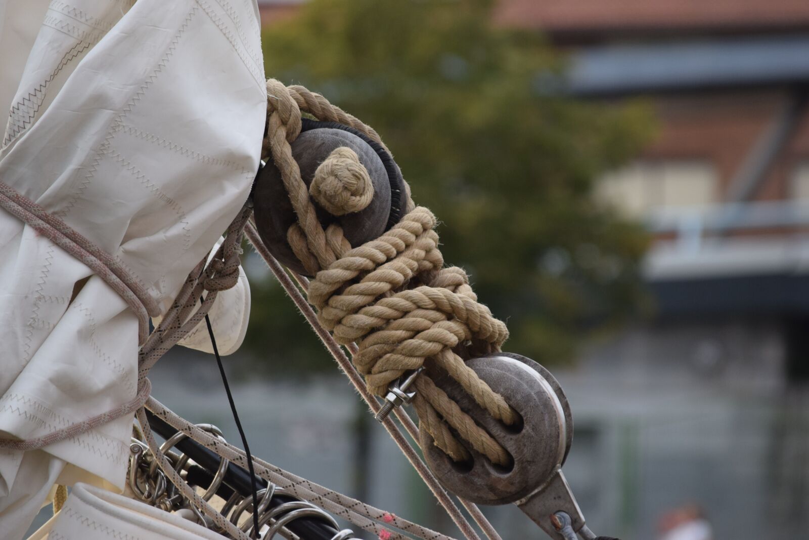 Nikon D3300 sample photo. Sail, sea, boat photography