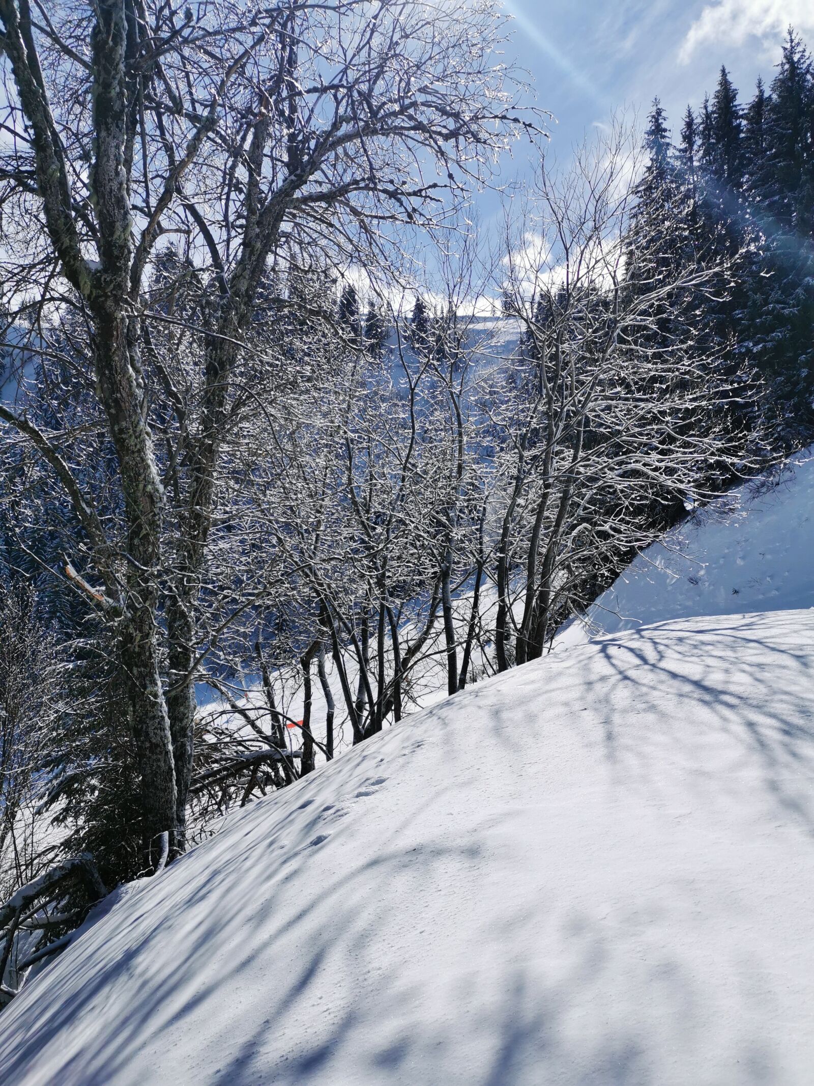 HUAWEI P30 sample photo. Snow, sun, path photography