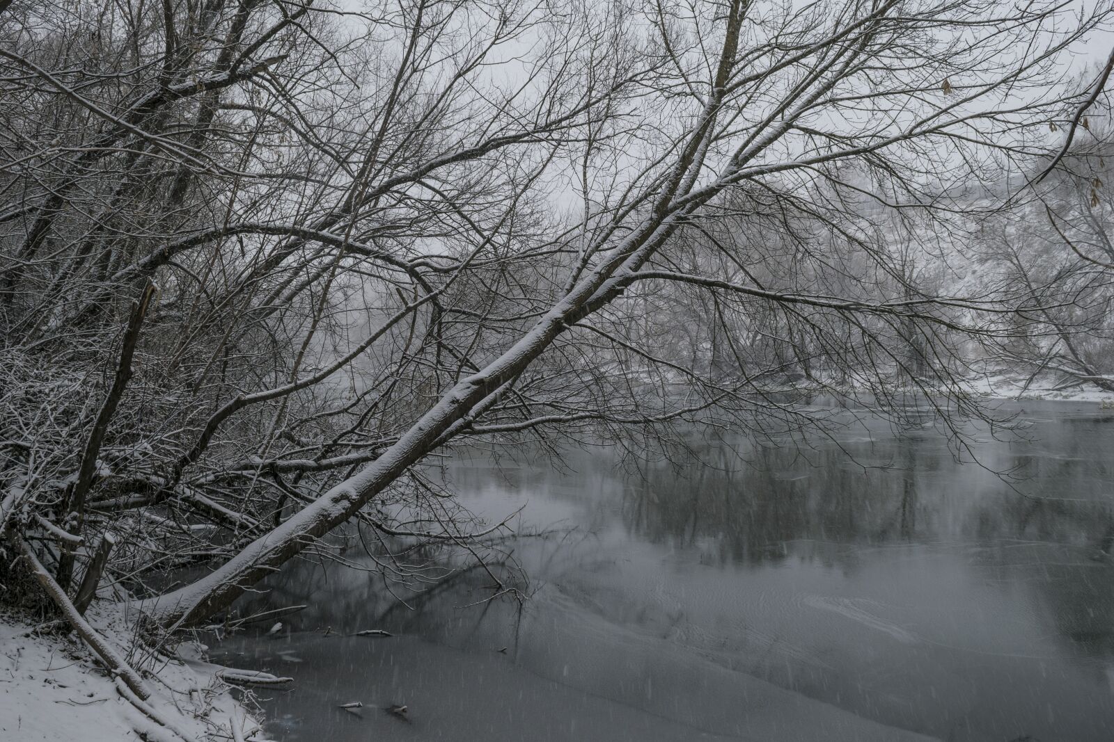Nikon D3300 sample photo. Winter, snowfall, january photography