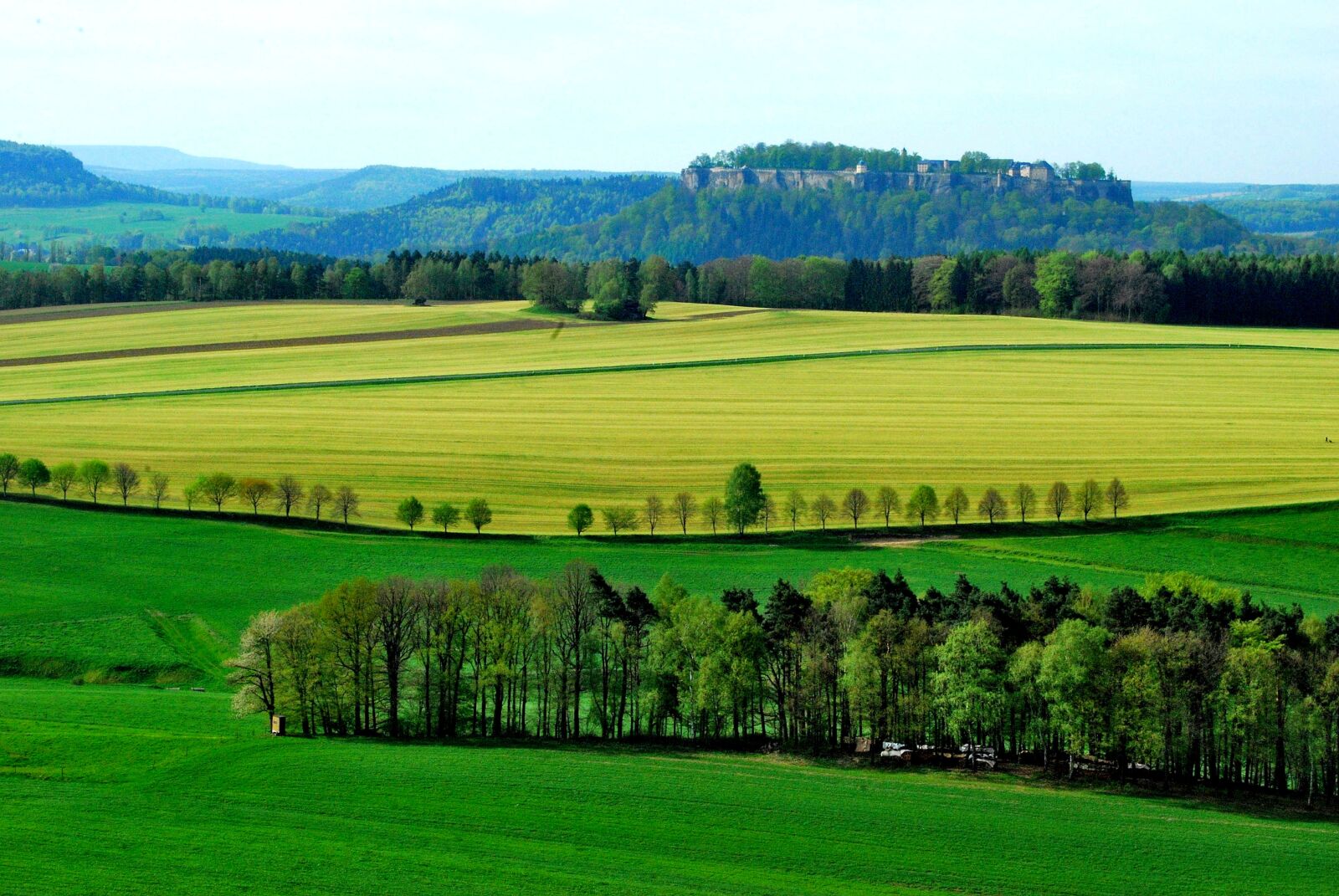 Nikon D40X sample photo. Field, grass, landscape photography