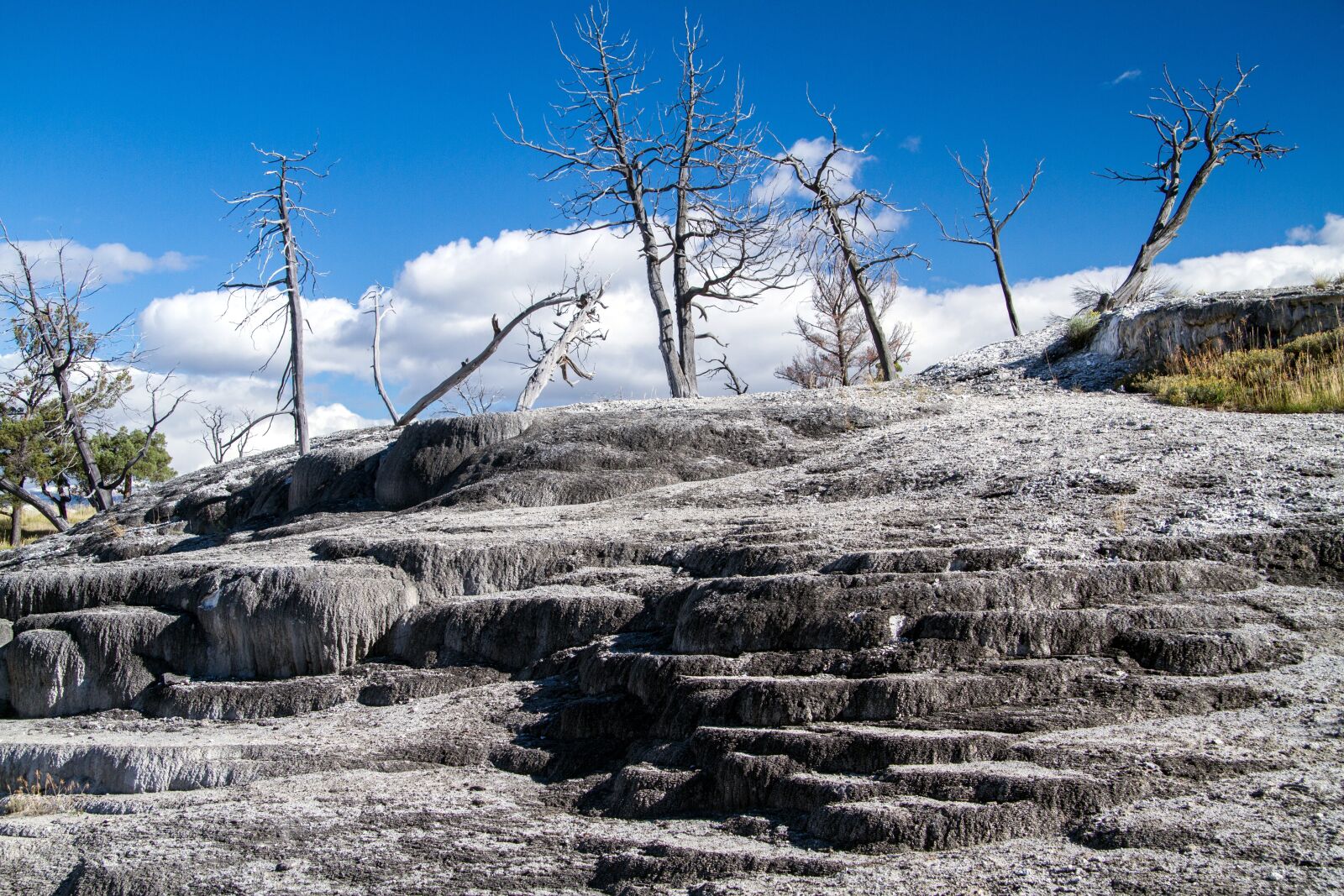 Canon EOS 7D sample photo. Yellowstone national park, wyoming photography