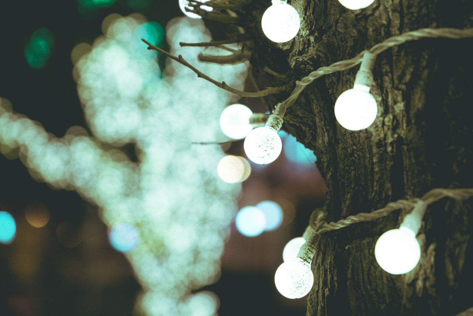 Canon EF 24-105mm F3.5-5.6 IS STM sample photo. Blur, bright, celebration, christmas photography