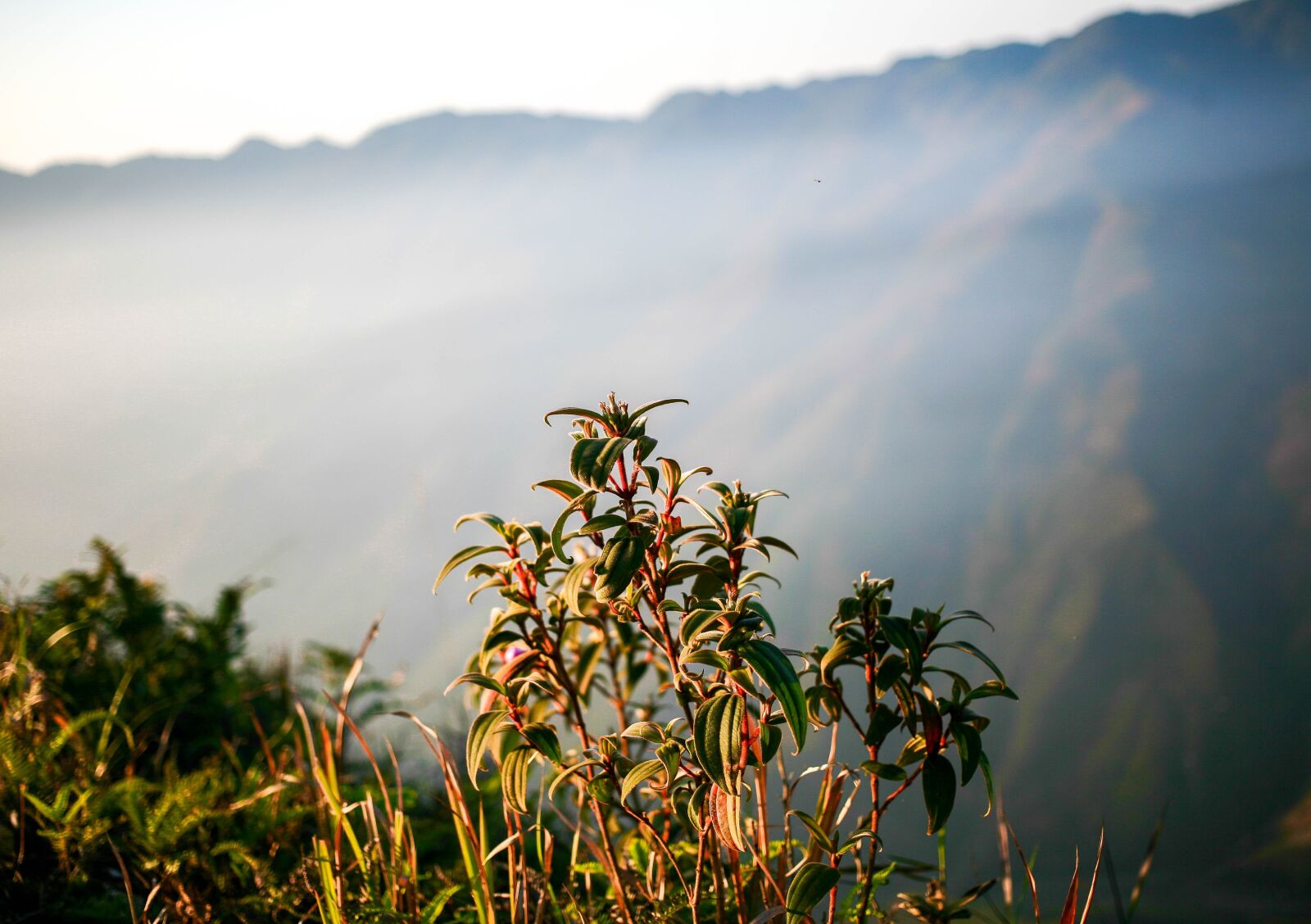 Canon EOS 5D sample photo. Mountain, highland, cloud photography