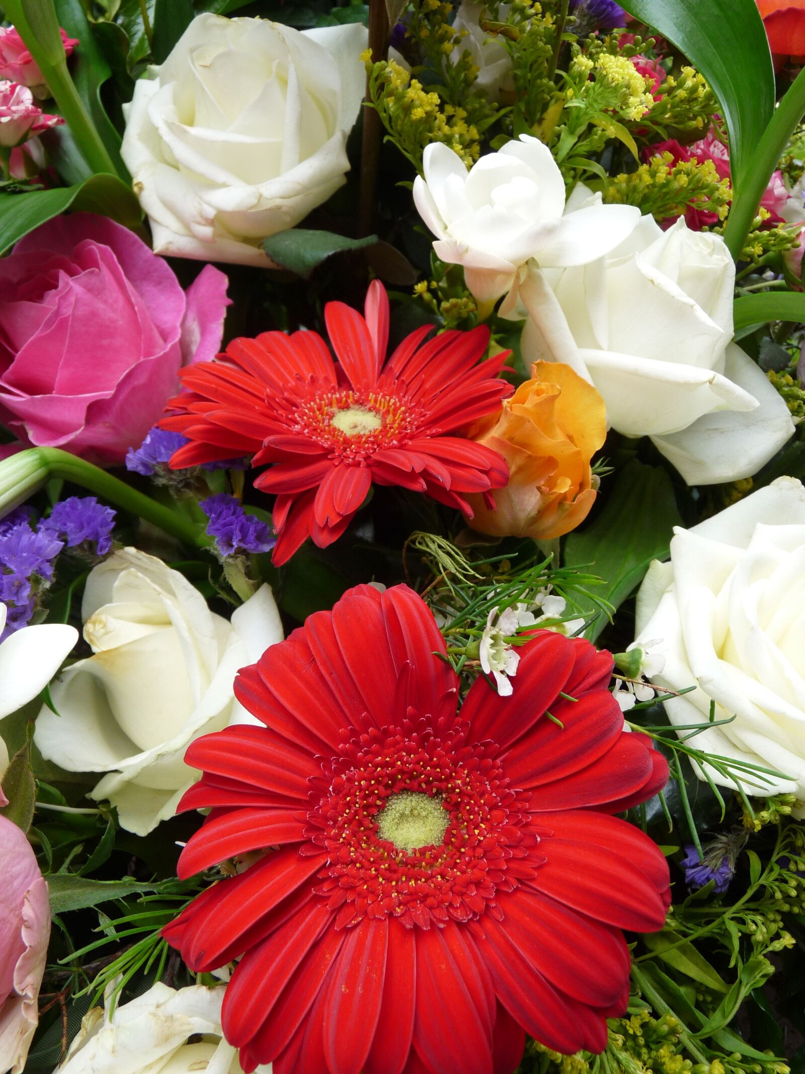 Panasonic Lumix DMC-FZ28 sample photo. White, gerbera, blossom photography