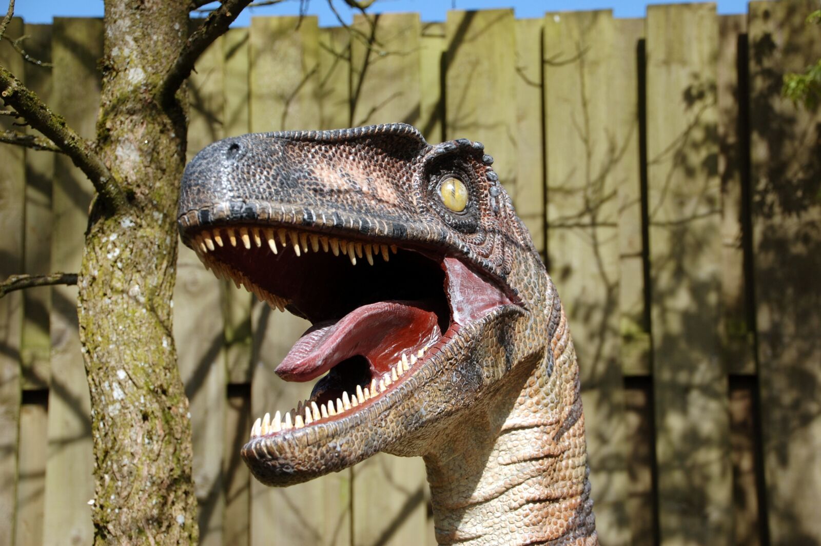 Nikon D40 sample photo. Dinosaur, teeth, predator photography