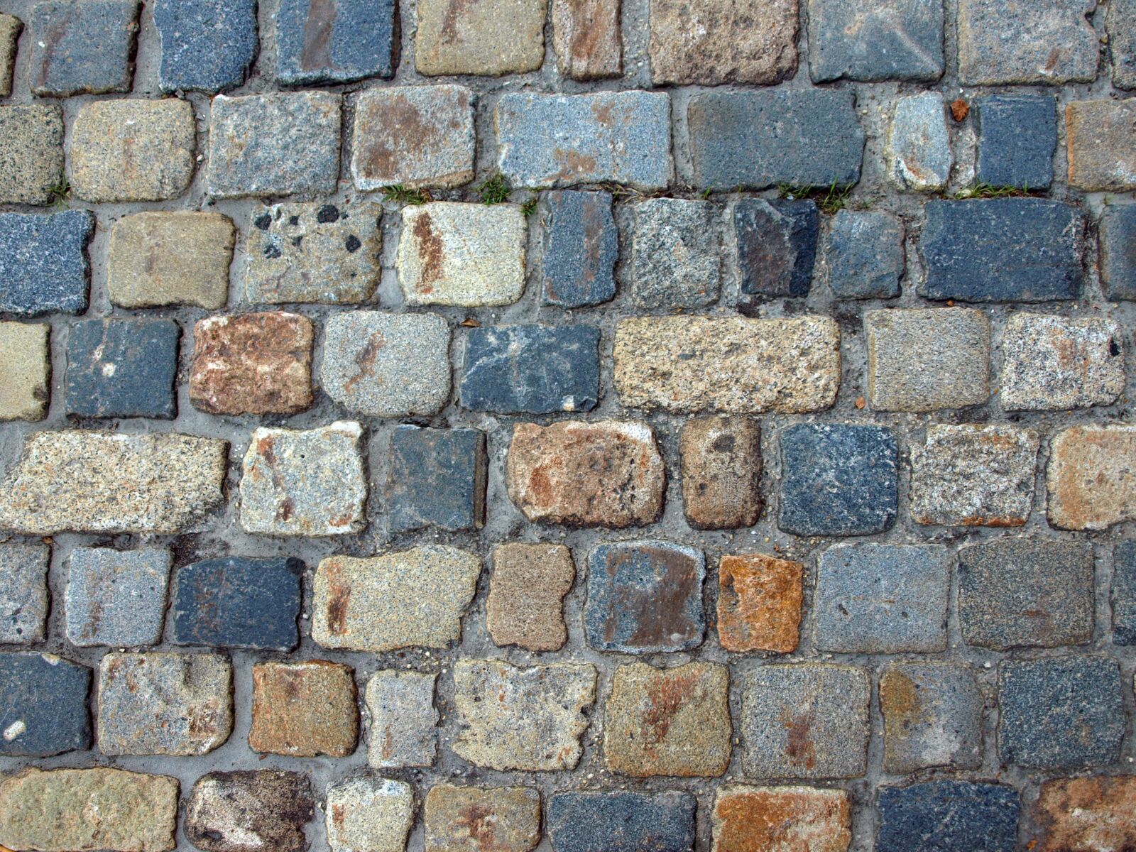 Olympus E-510 (EVOLT E-510) sample photo. Paving stones, ground, road photography