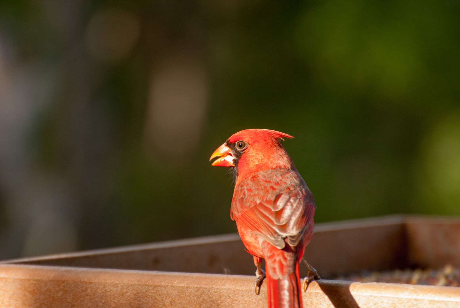 Nikon D3000 sample photo