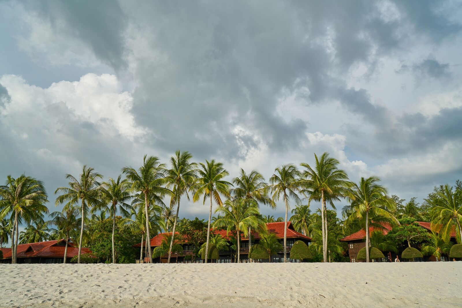 Sony a7R II sample photo. Beach, marine, nature photography