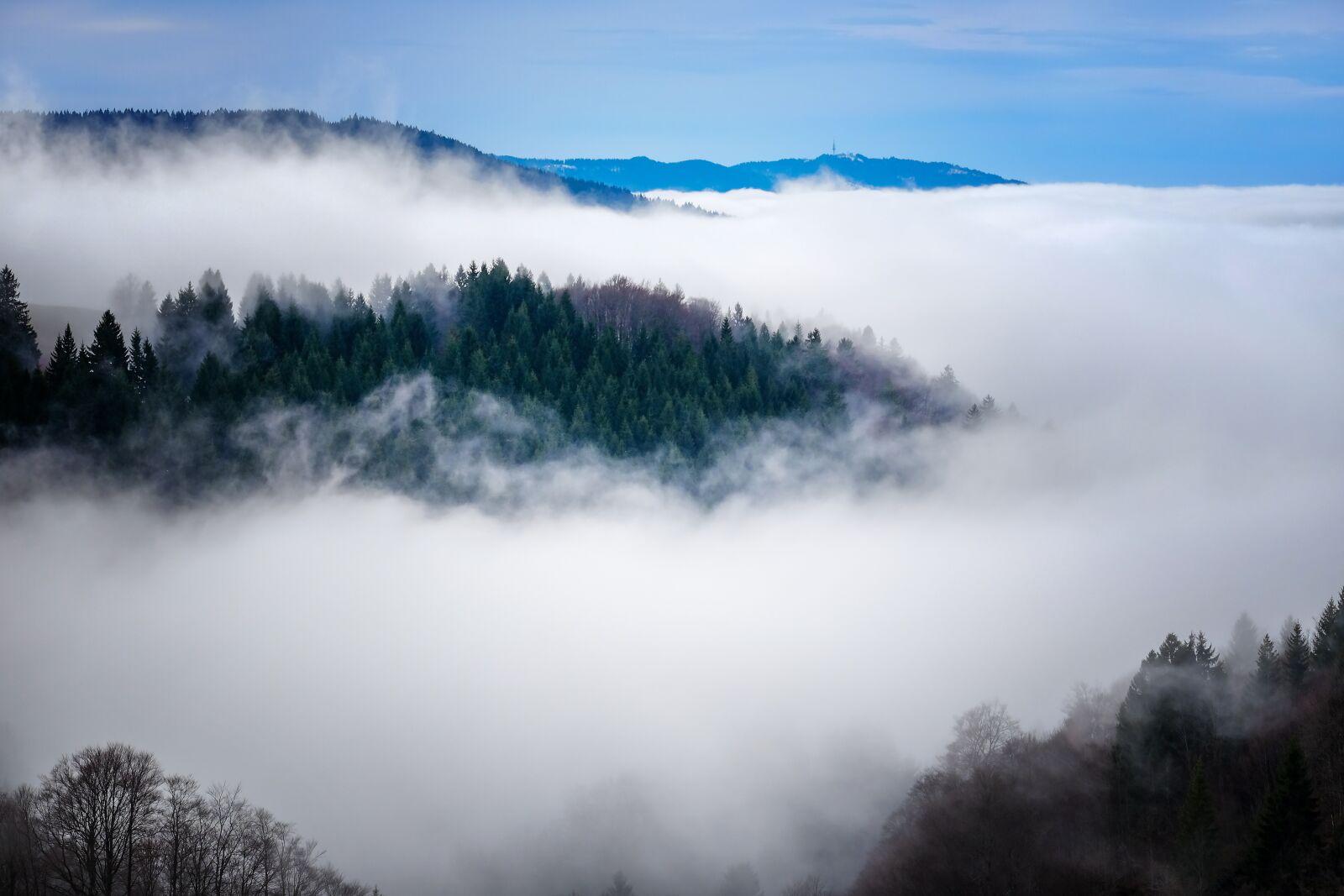 Fujifilm XF 55-200mm F3.5-4.8 R LM OIS sample photo. Fog, rising fog, steam photography