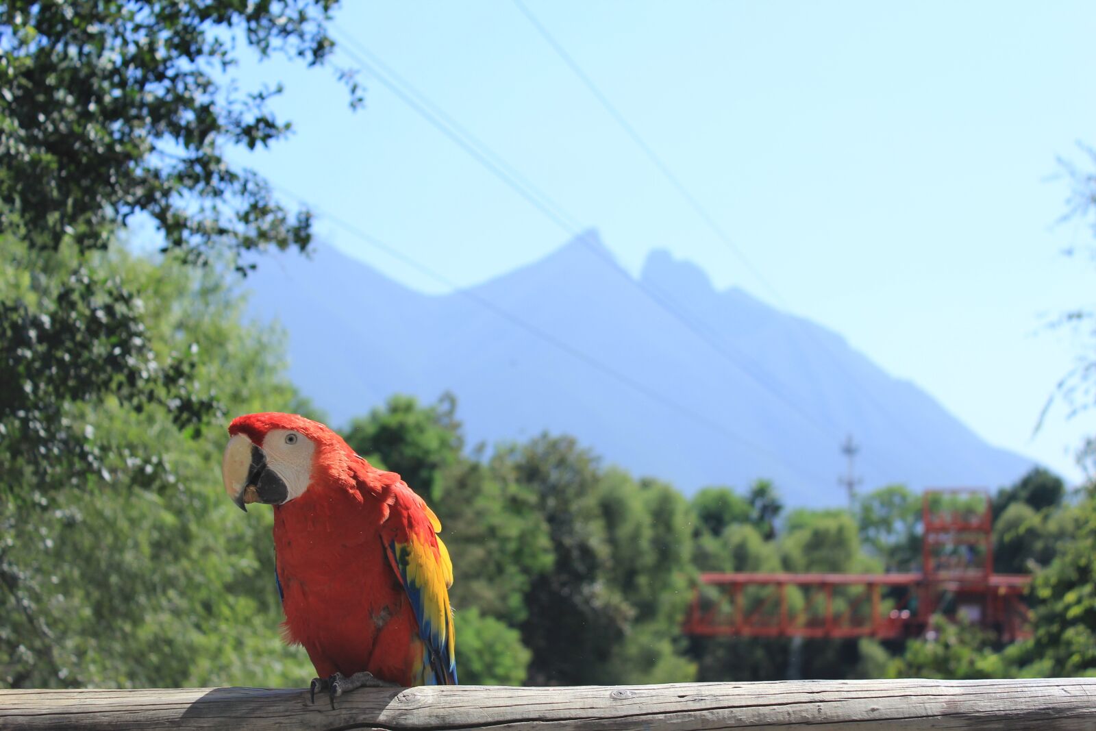 Canon EOS 1200D (EOS Rebel T5 / EOS Kiss X70 / EOS Hi) sample photo. Landscape, ave, macaw photography