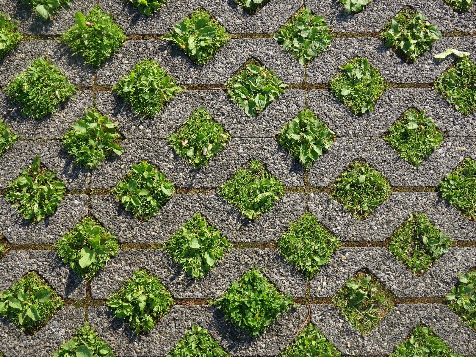 Sony Cyber-shot DSC-RX100 II sample photo. Ground, squares, grass photography