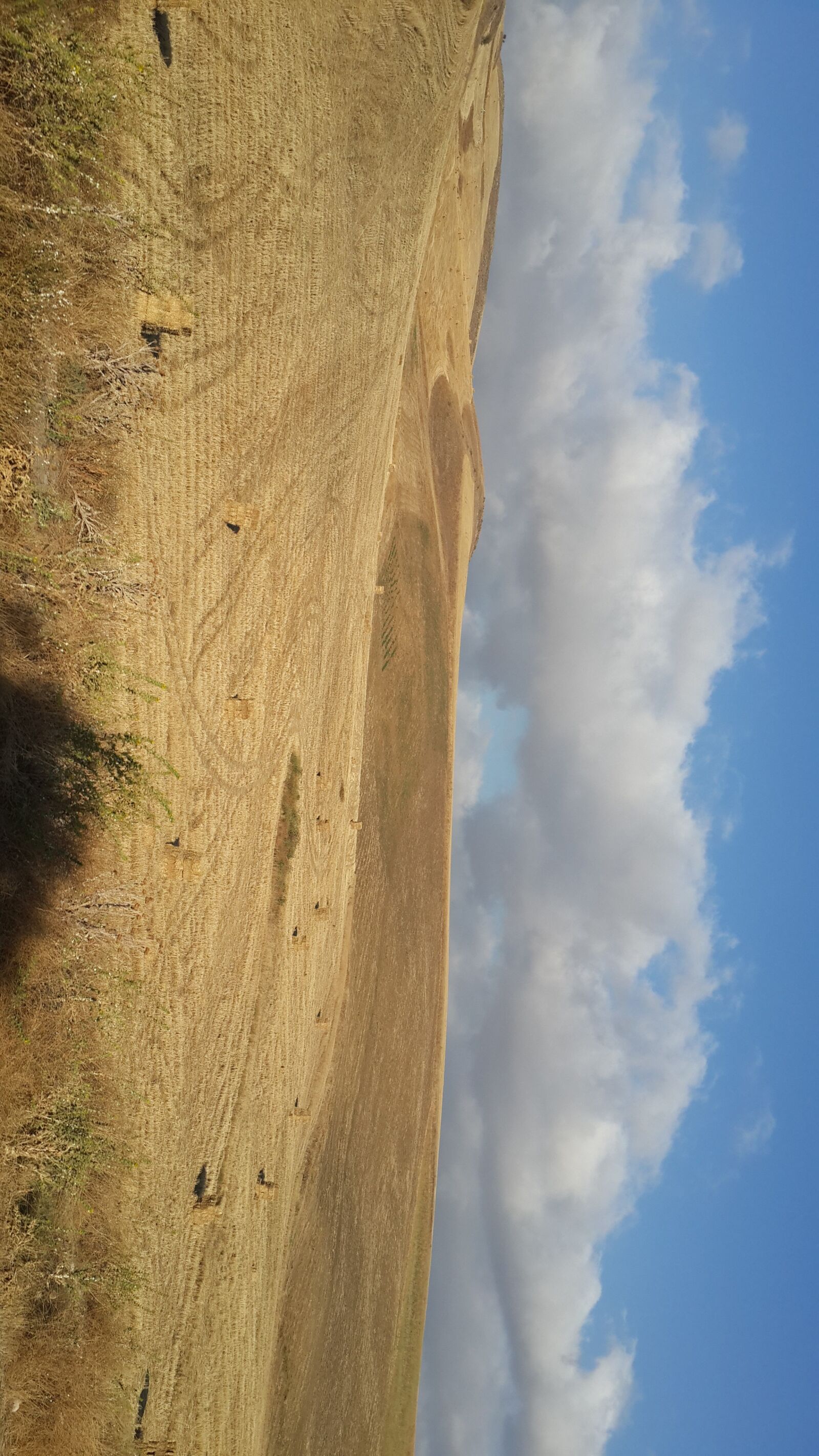 Samsung Galaxy S4 sample photo. Algeria, sky, algiers photography